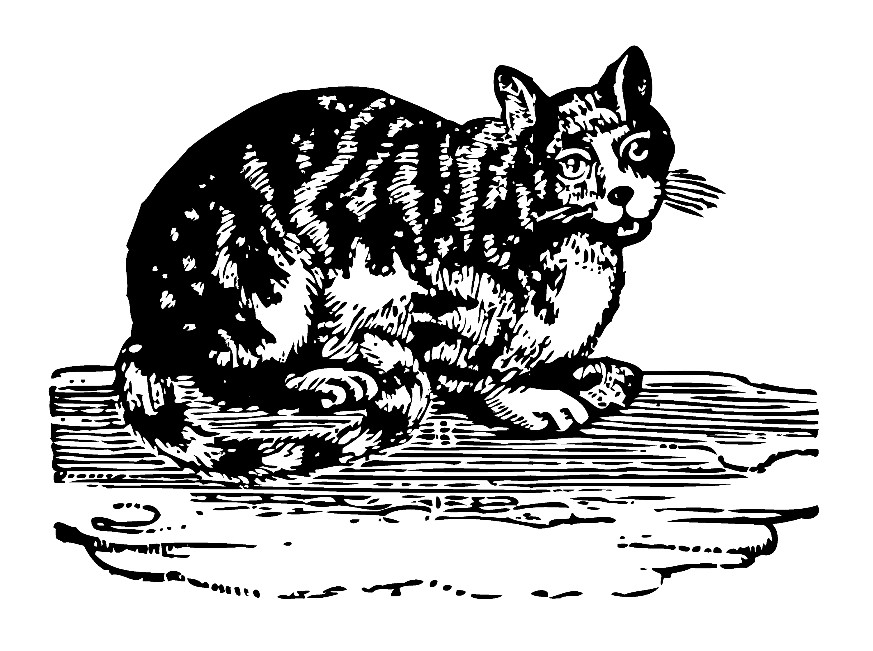 cat clipart public domain - photo #18