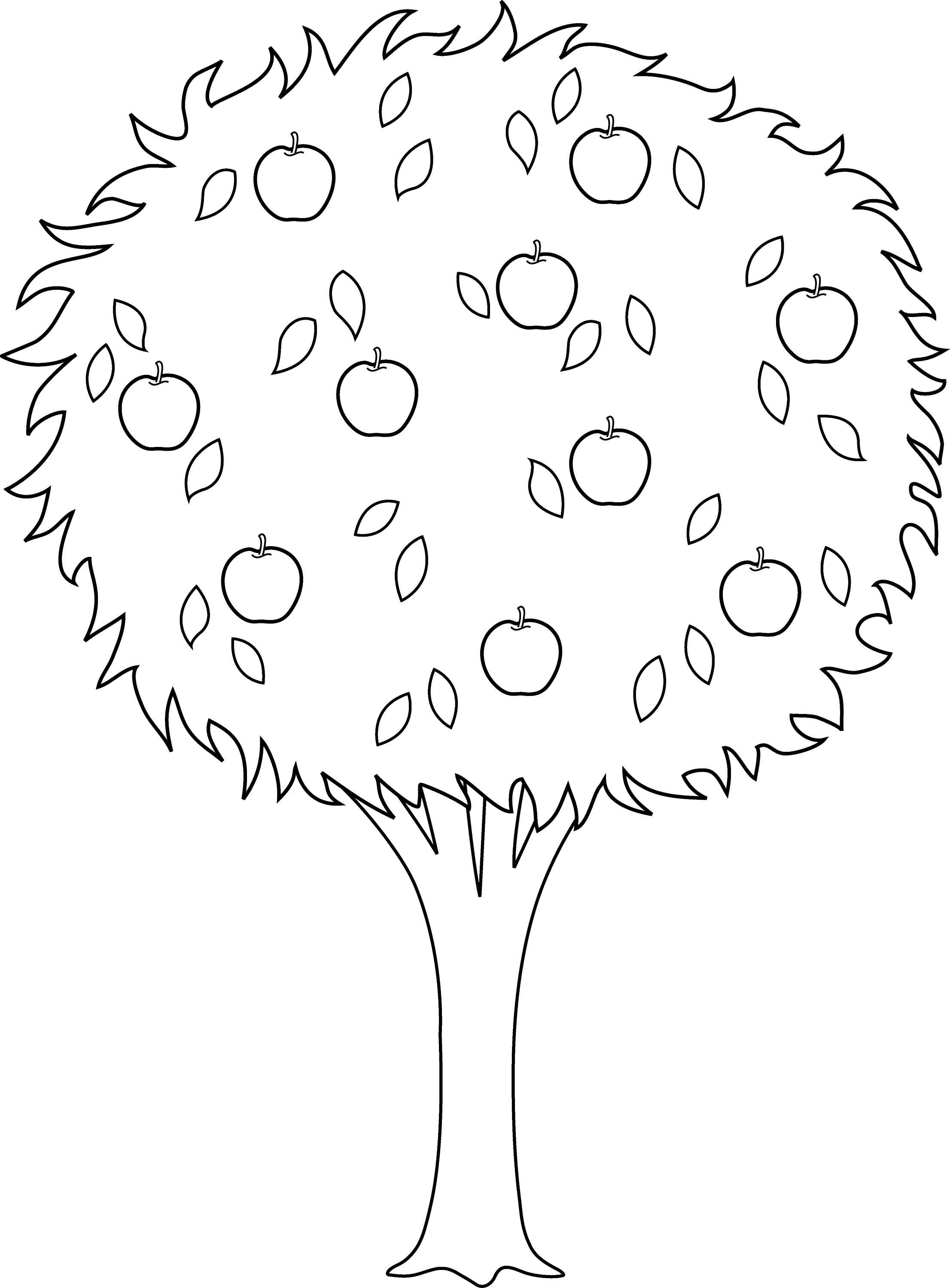 Outline Picture Of Apple Tree Tree Outline Printable ClipArt Best