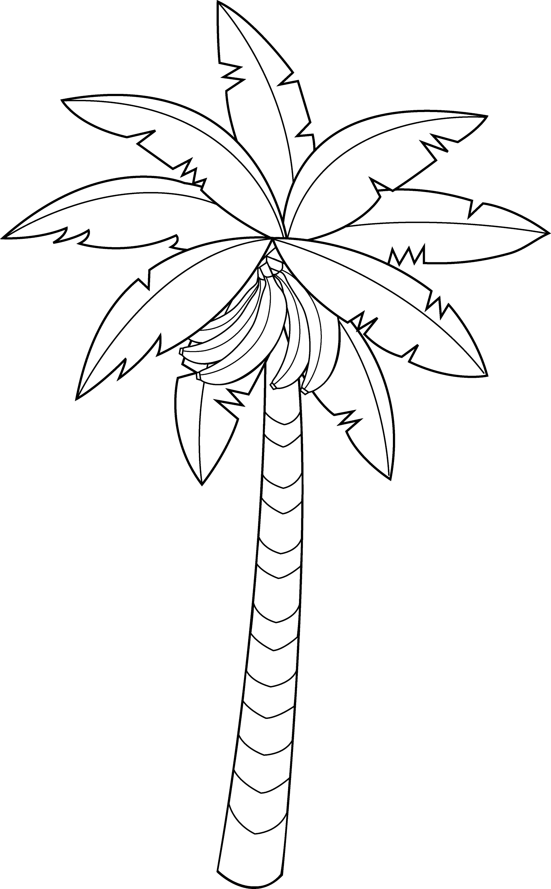 palm tree clip art coloring pages - photo #23