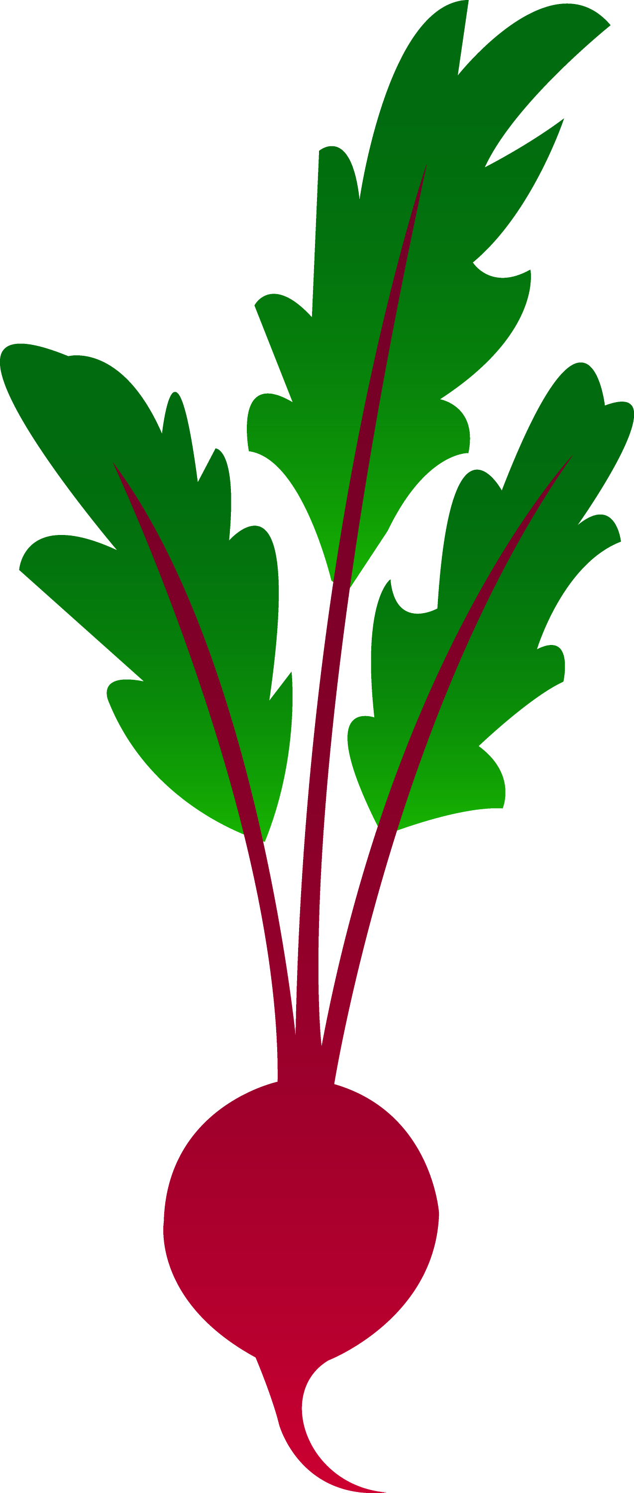 free clipart beets - photo #1