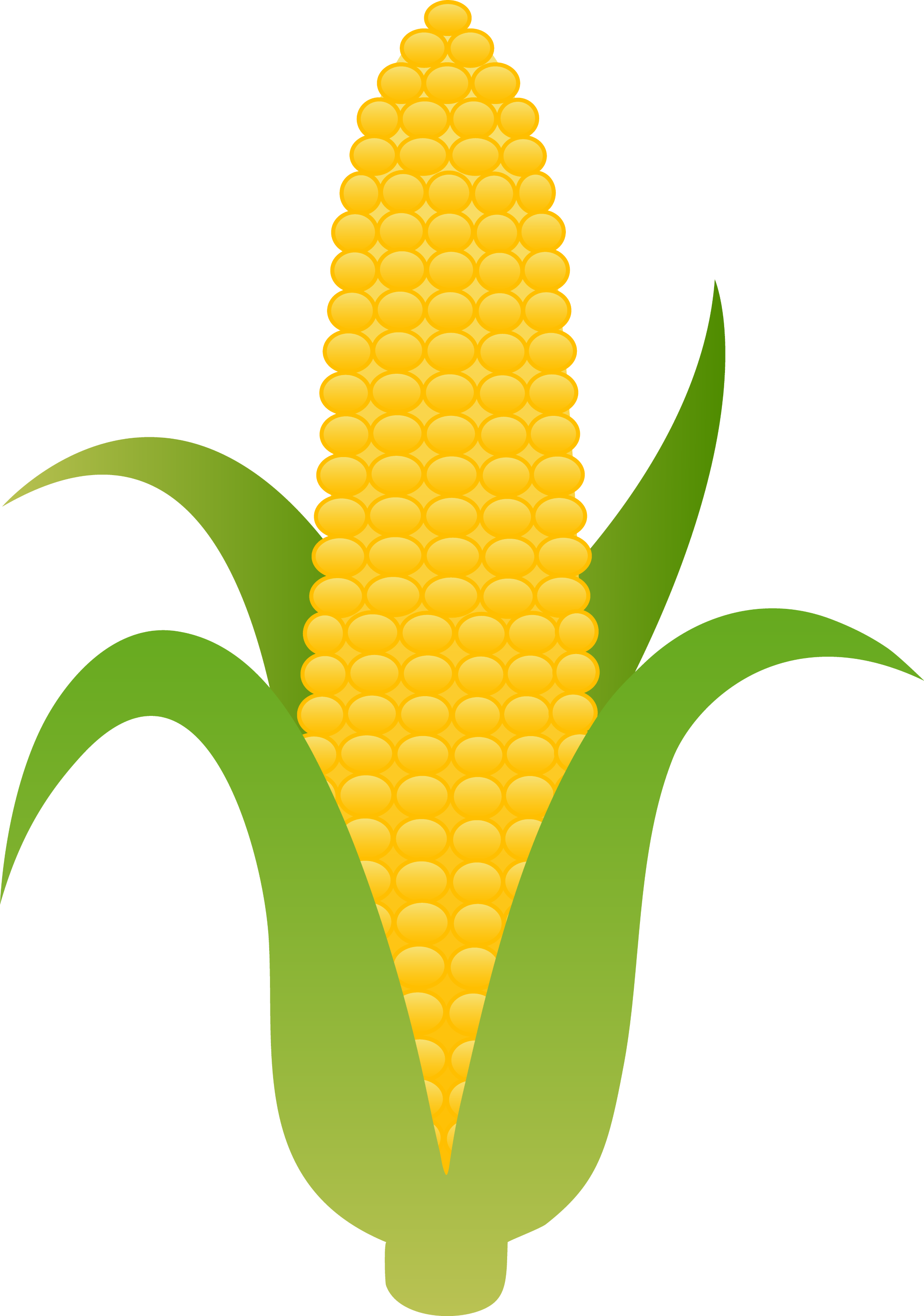 free clipart ear of corn - photo #4