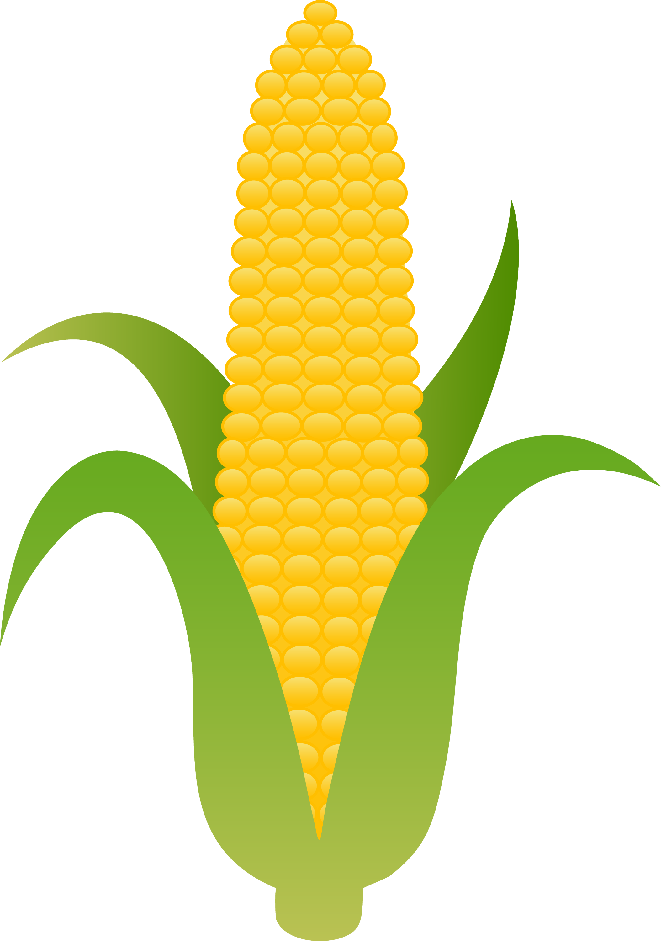 The big corn thread - The Something Awful Forums