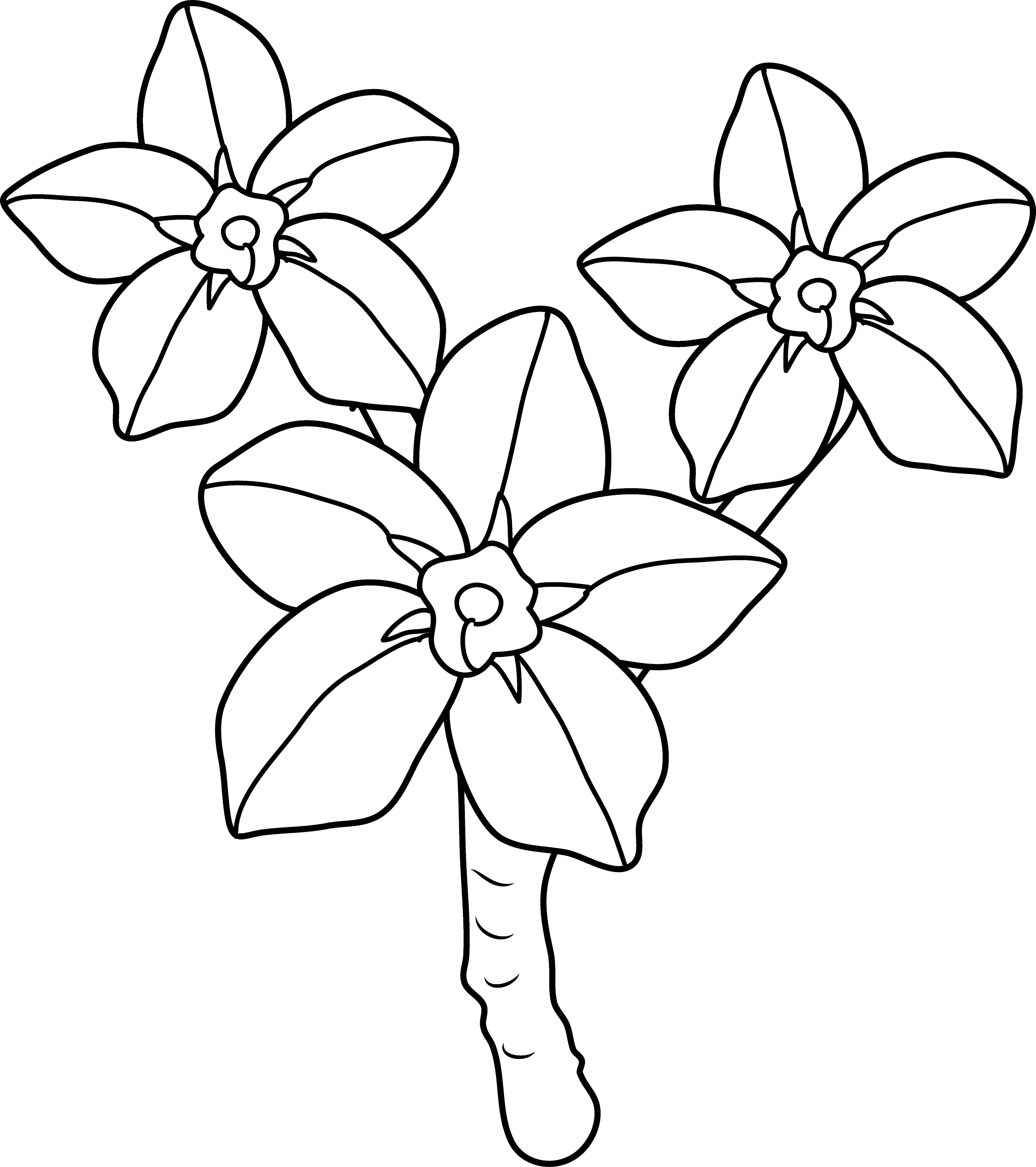 Forget Me Nots Coloring Page - Free Clip Art