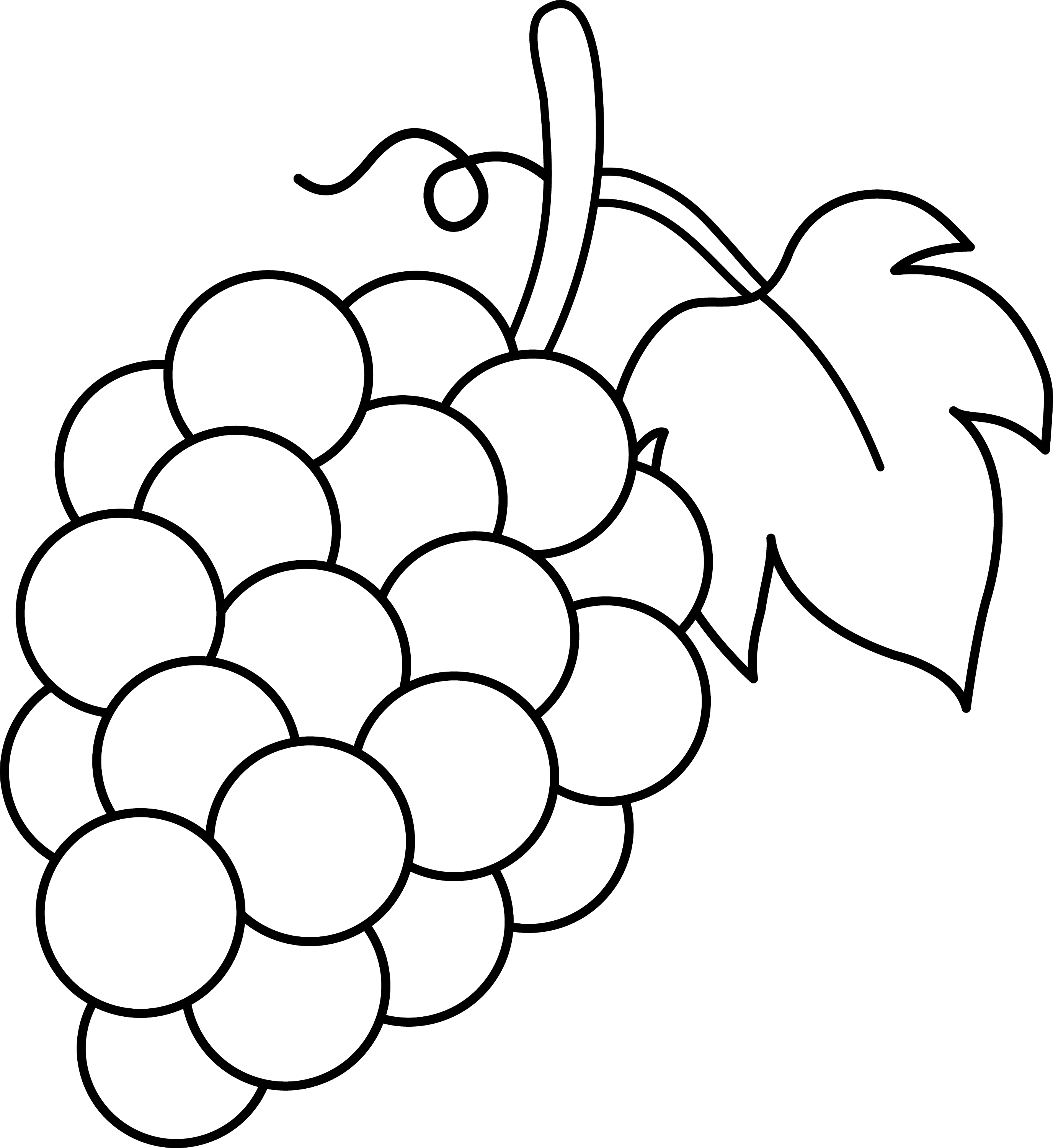 Grapes Black and White Lineart - Free Clip Art