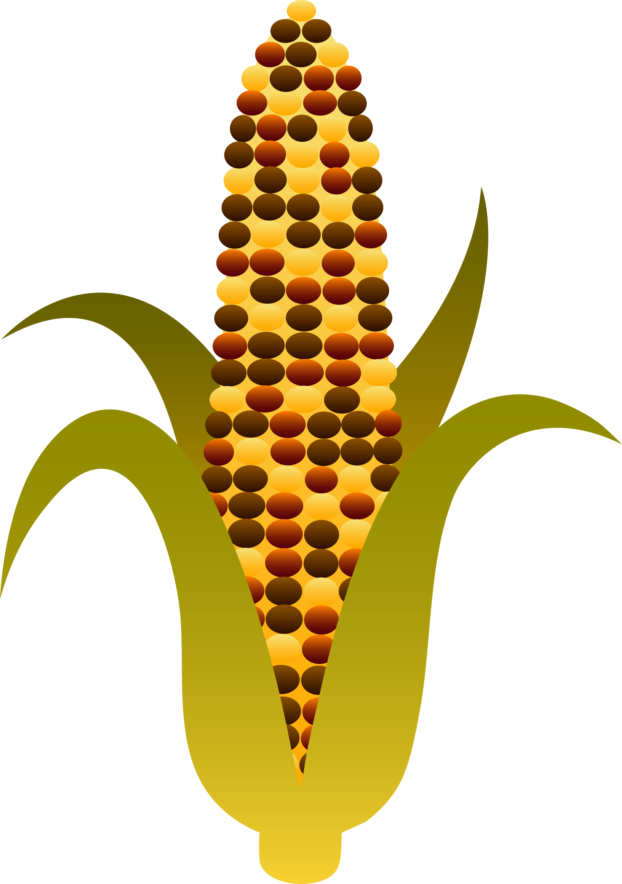 Indian Harvest Corn Maize - Free Clip Art