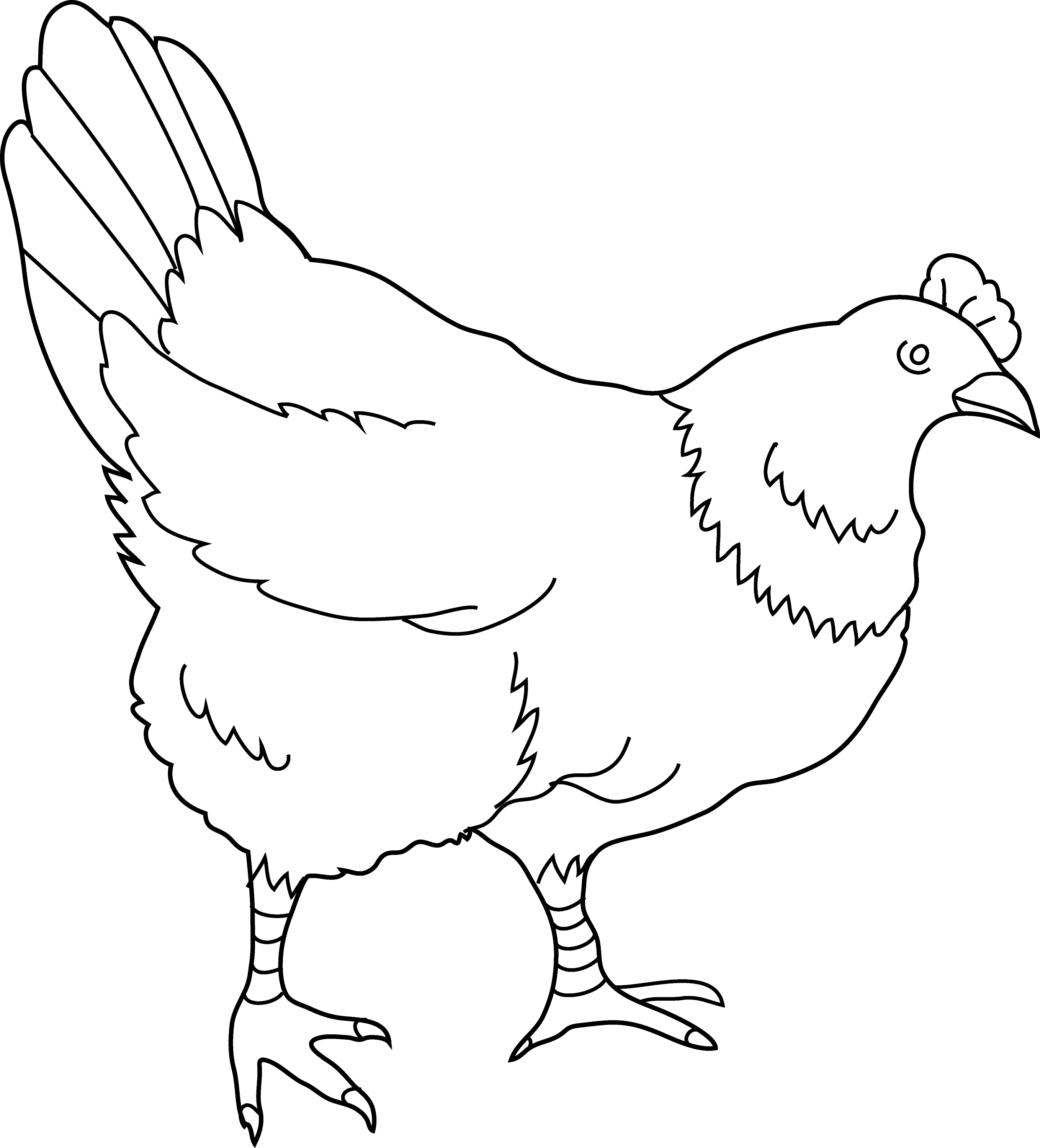 Hen Coloring Page 2 Free Clip Art