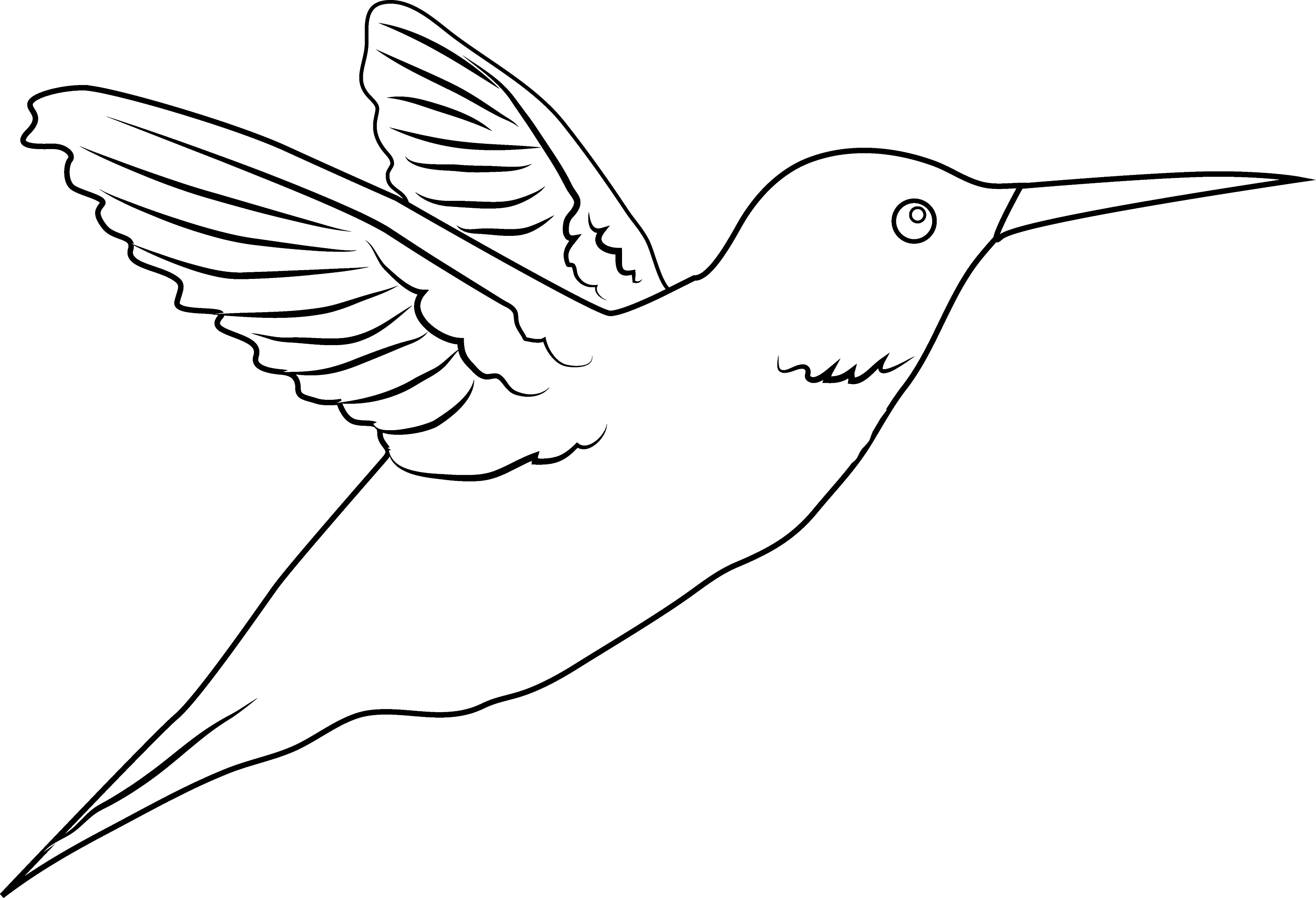 Simple Hummingbird Outline Coloring Pages