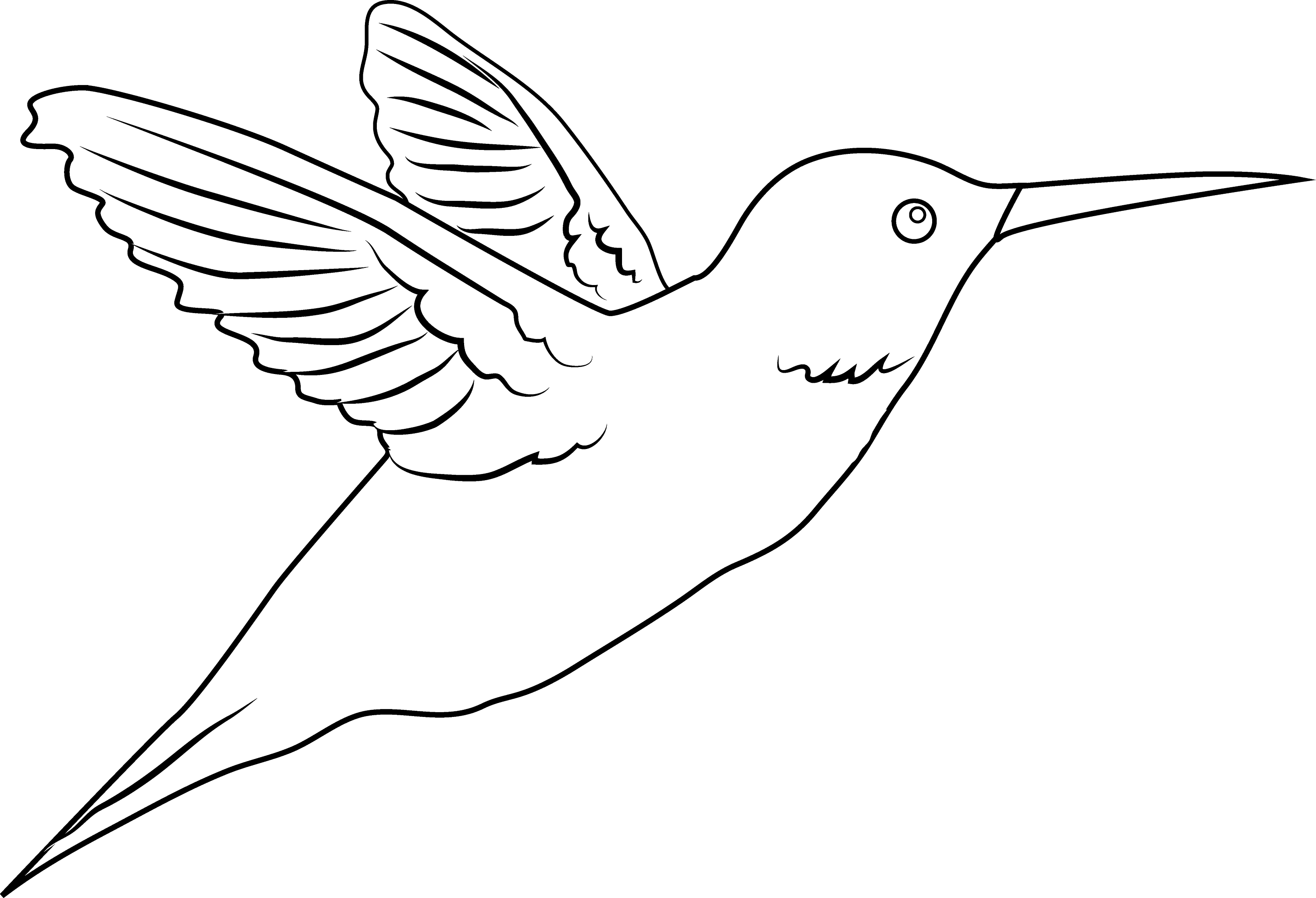 Hummingbird Coloring Page Free Clip Art