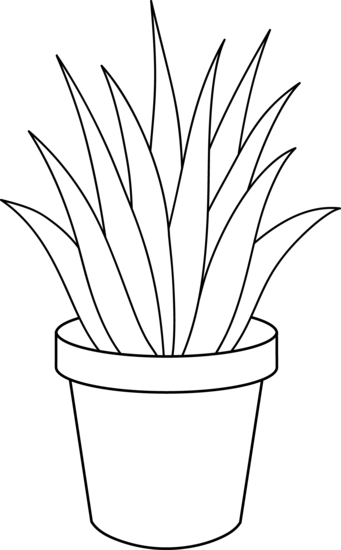 Aloe Vera Plant Line Art - Free Clip Art
