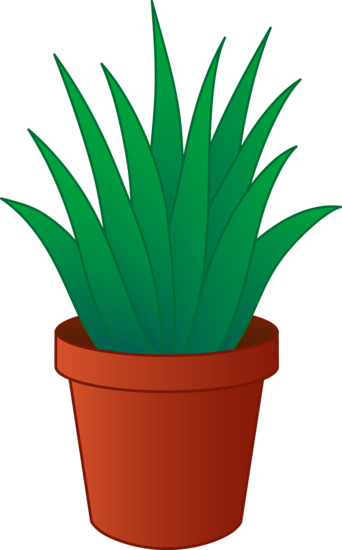Aloe Vera Plant in Pot - Free Clip Art
