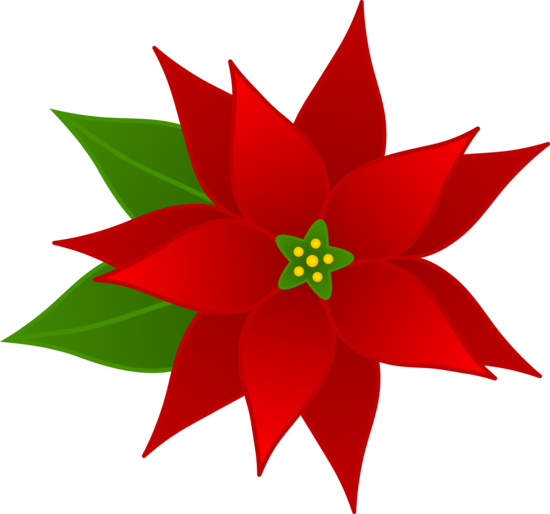 clipart christmas poinsettia - photo #11