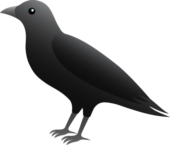 Black Crow Illustration  Free Clip Art