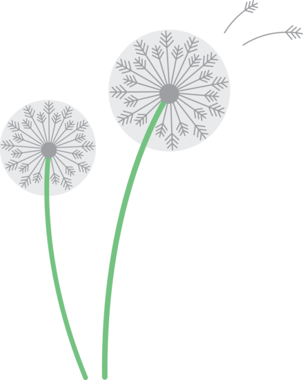 Two White Dandelions - Free Clip Art