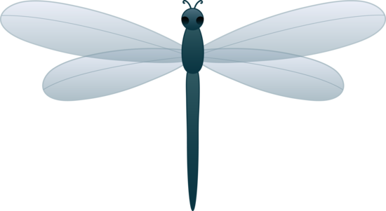 clipart dragonfly - photo #37