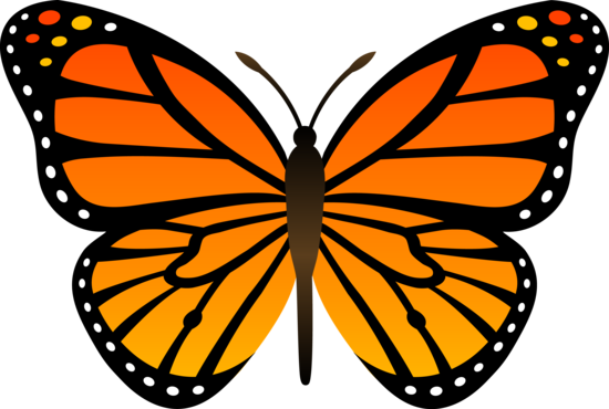 animated monarch butterfly clip art free - photo #3