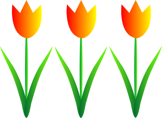 spring tulips clip art - photo #6