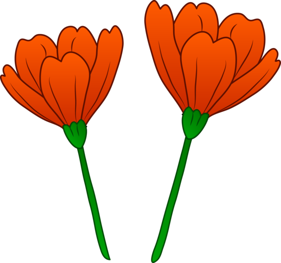 Two Pretty Red Poppies - Free Clip Art
