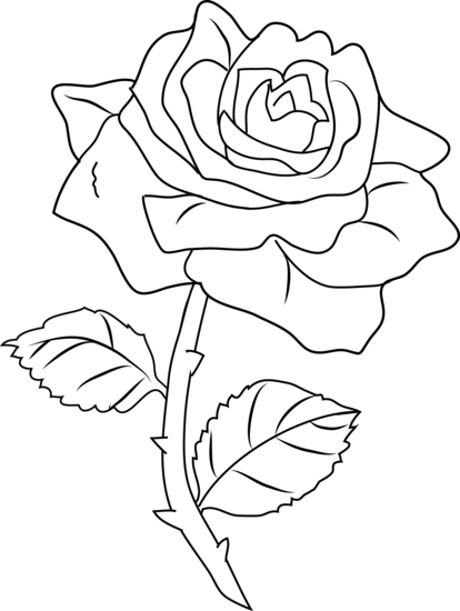 clipart rose outline - photo #28