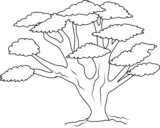 oak tree coloring pages free - photo #14