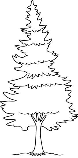 tall pines coloring pages - photo #1