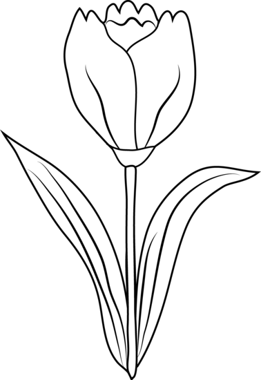 tulip clip art free black and white - photo #5