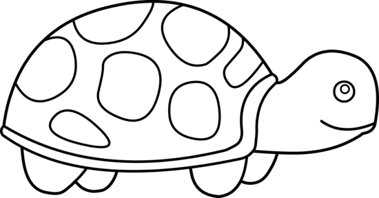 free turtle clipart black and white - photo #11