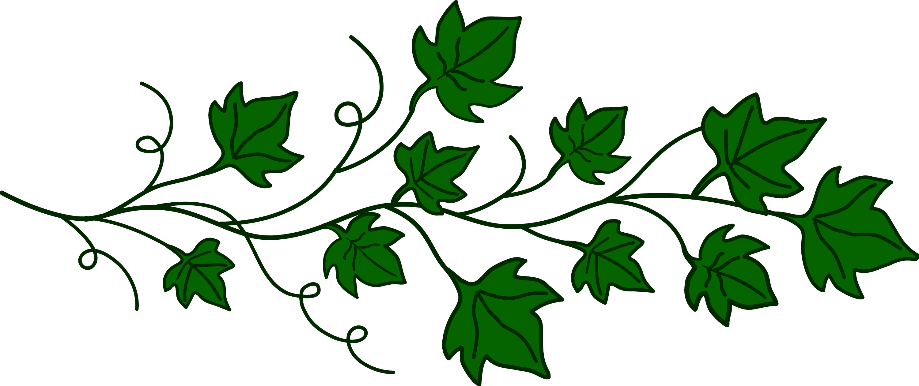 Vine of Ivy Leaves  Free Clip Art