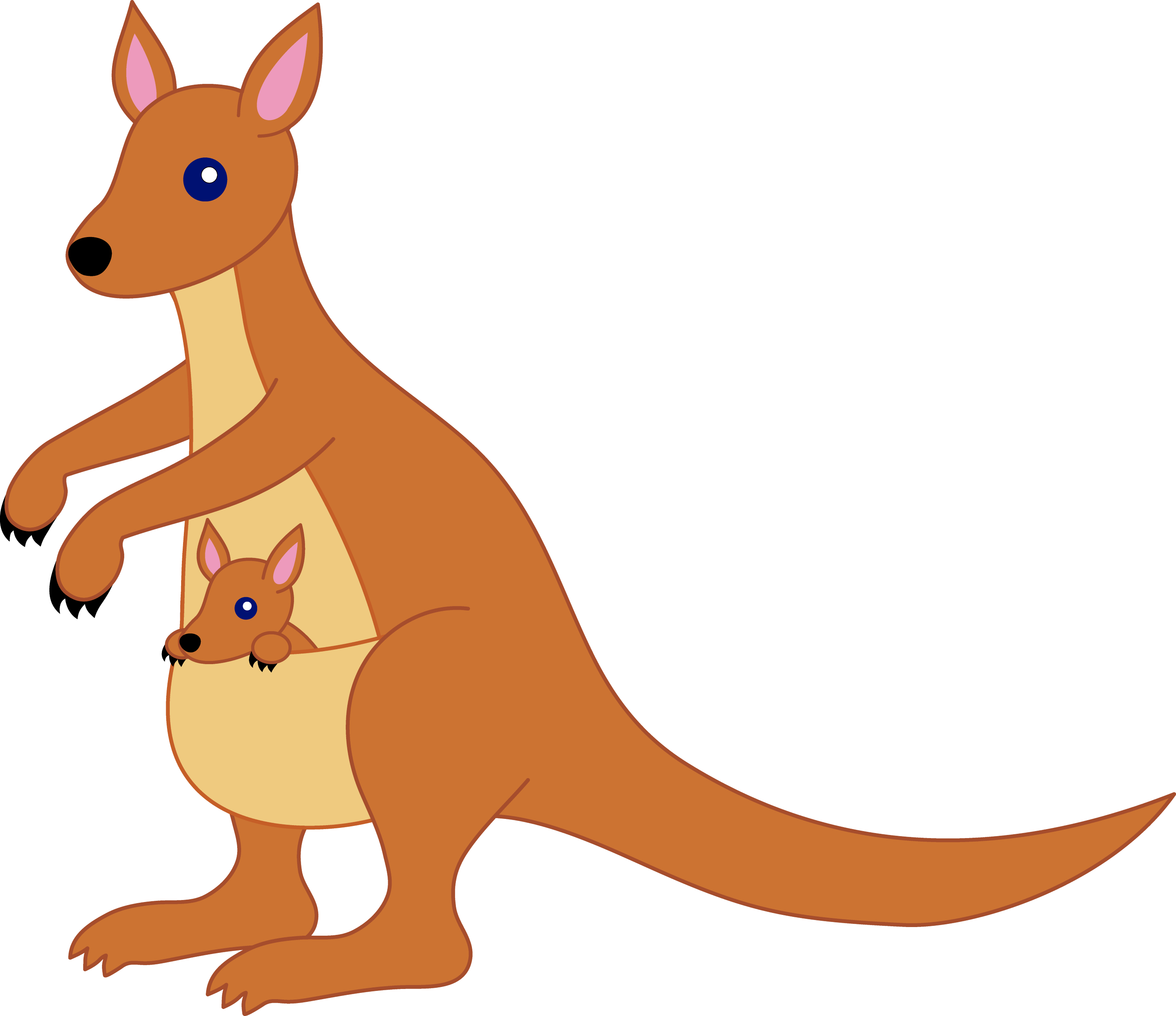 Kangaroo Images Clip Art Stock Photos Dictionary