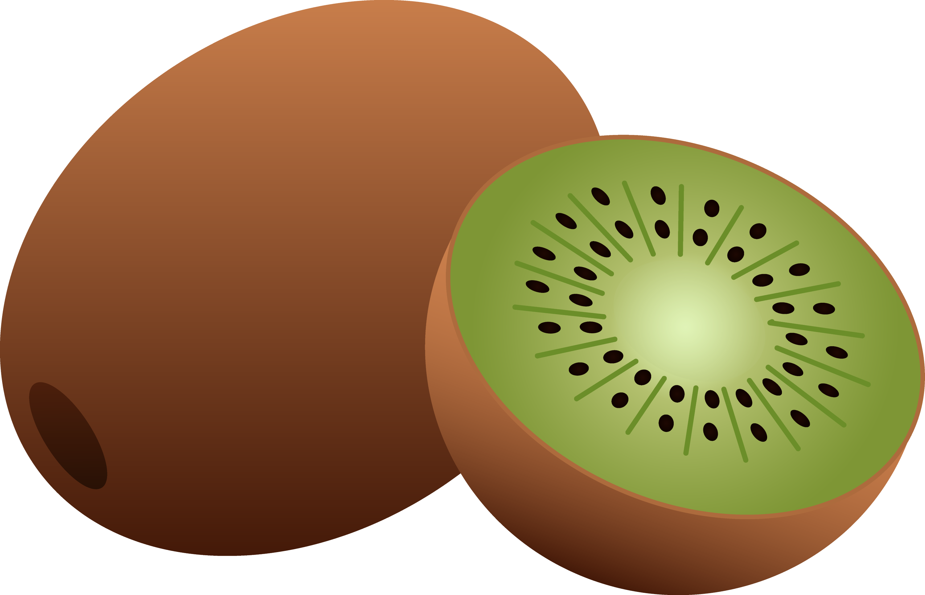 Whole and Half Kiwi Fruit - Free Clip Art
