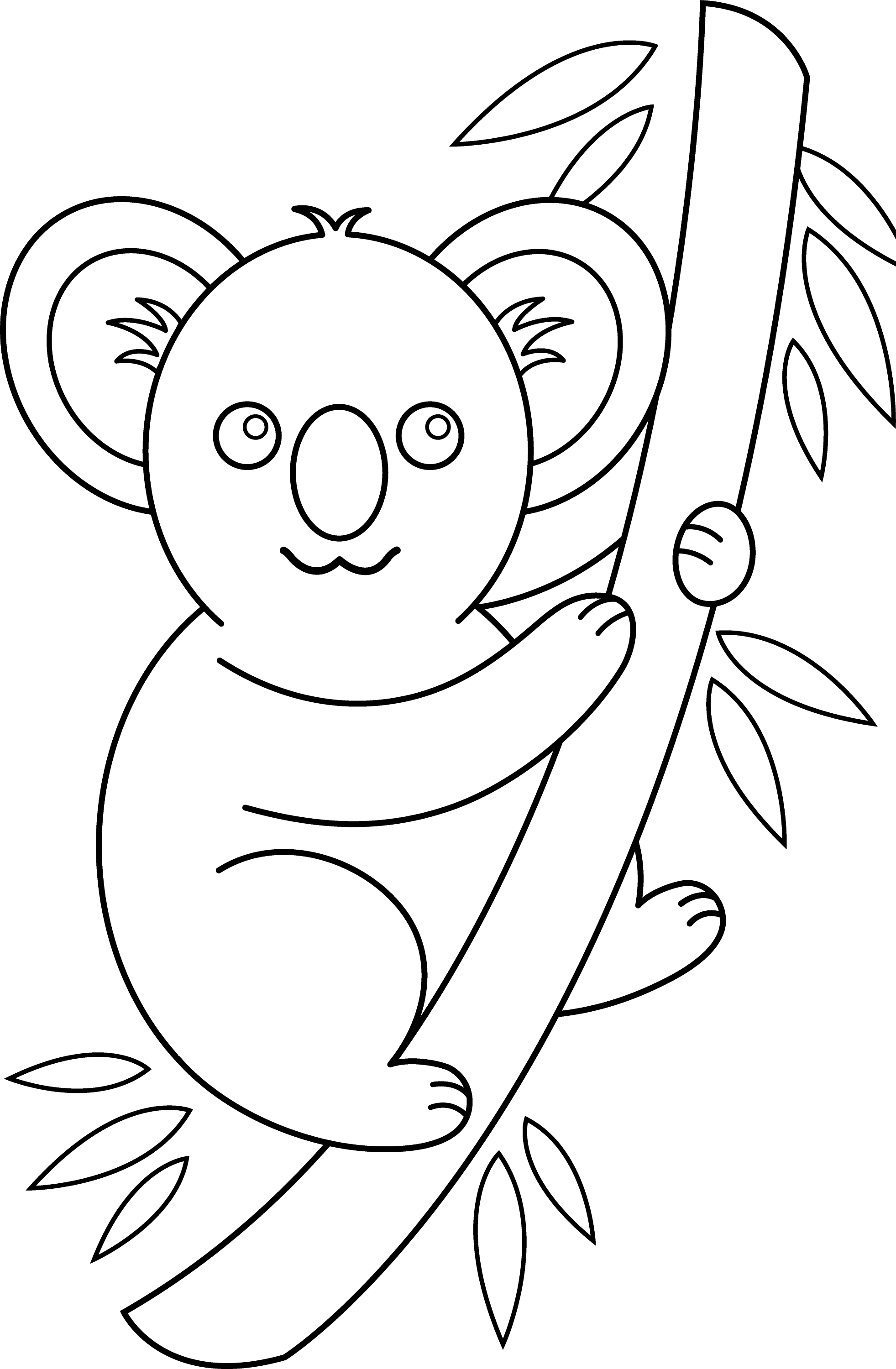 Koala Coloring Page - Free Clip Art