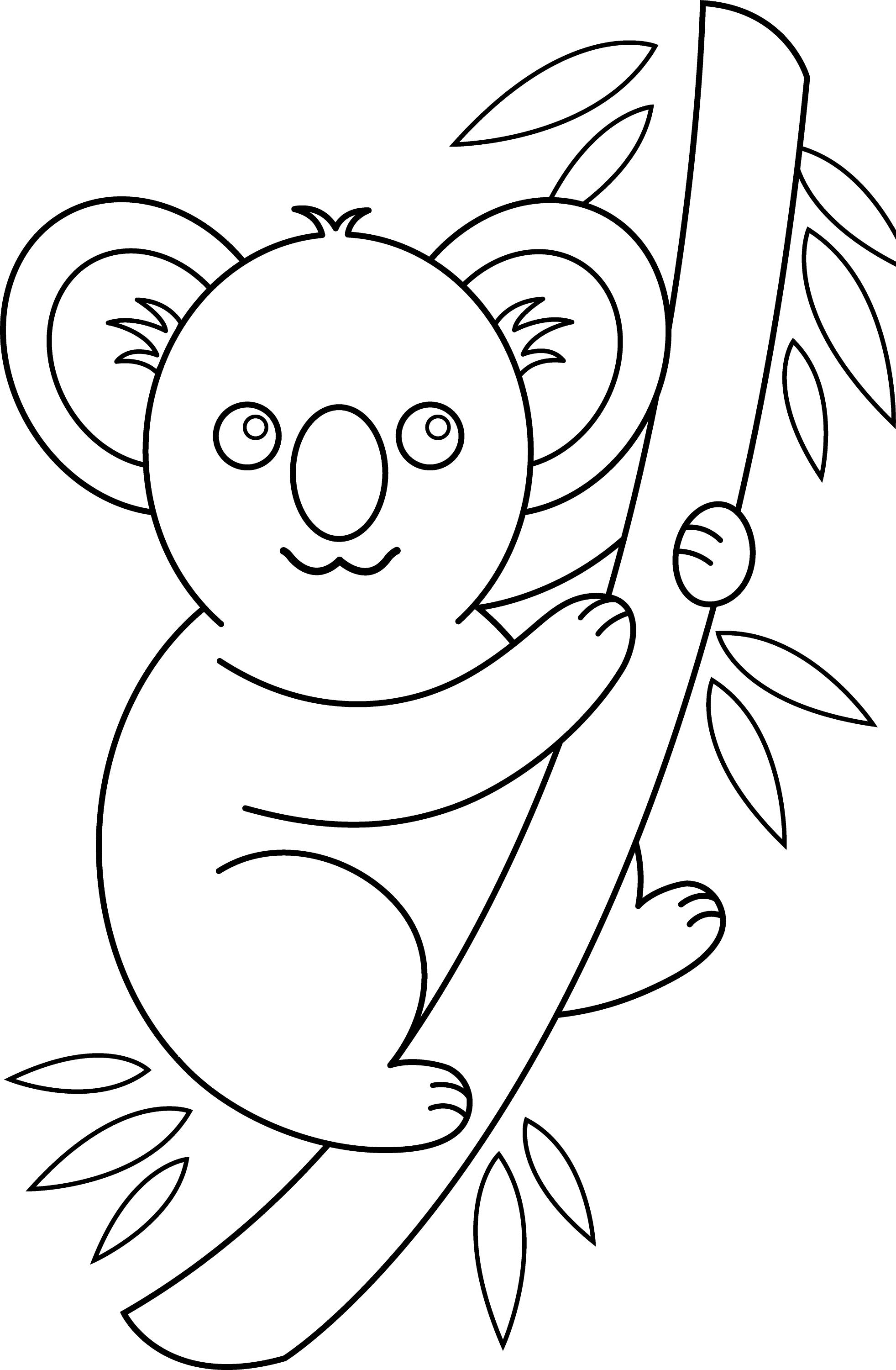 Koala Coloring Page Free Clip Art