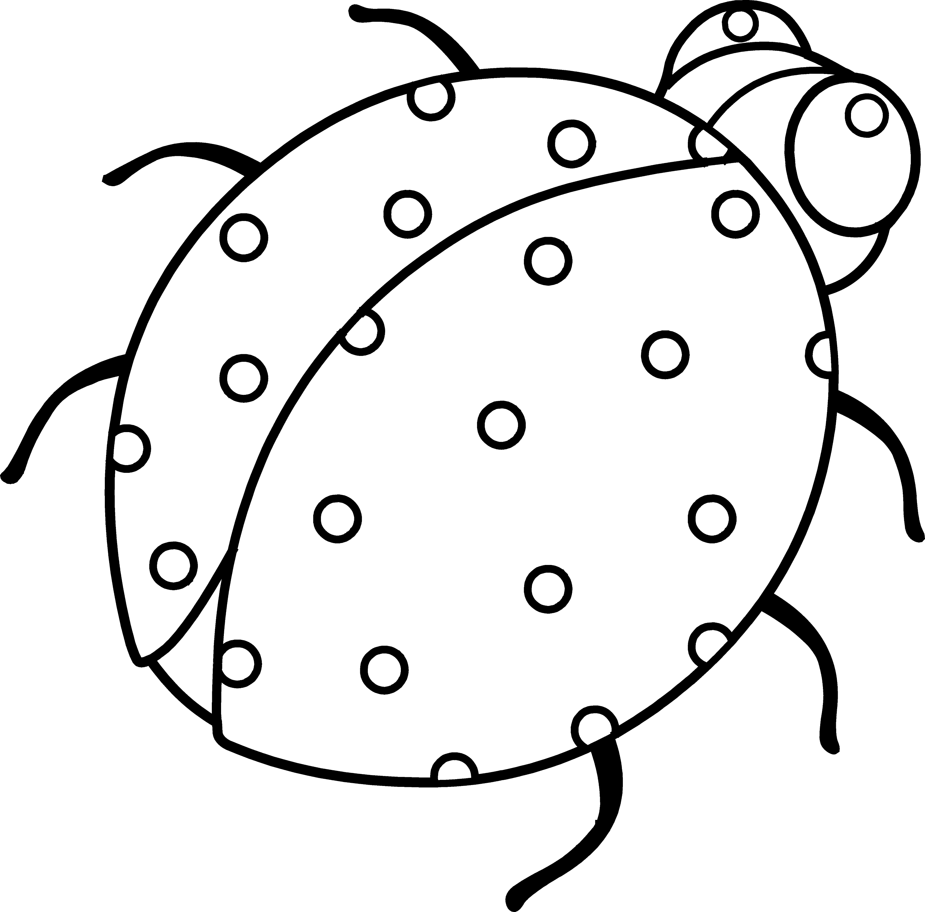 Spotty Ladybug Coloring Page Free Clip Art