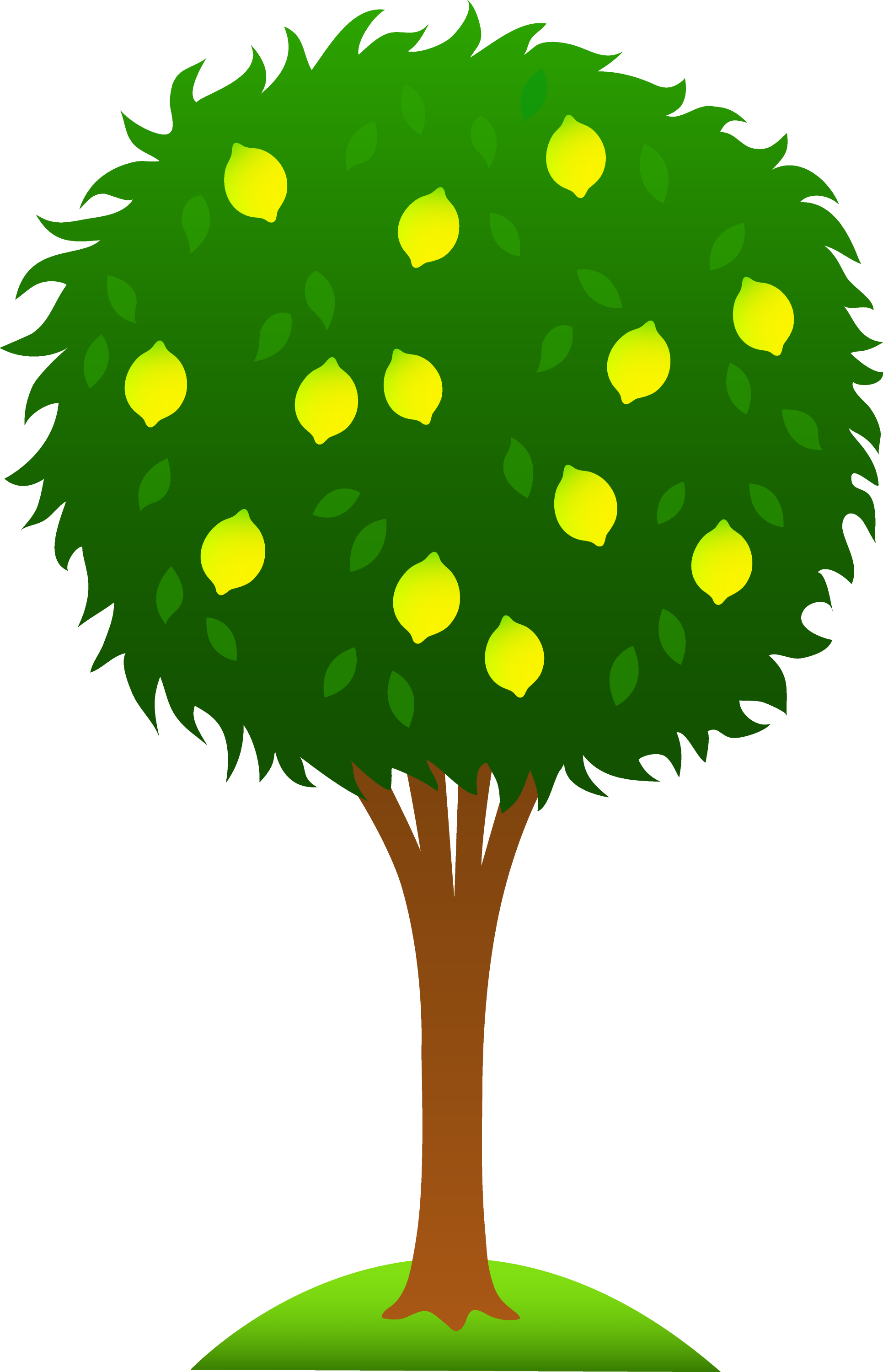 free clipart images trees - photo #38