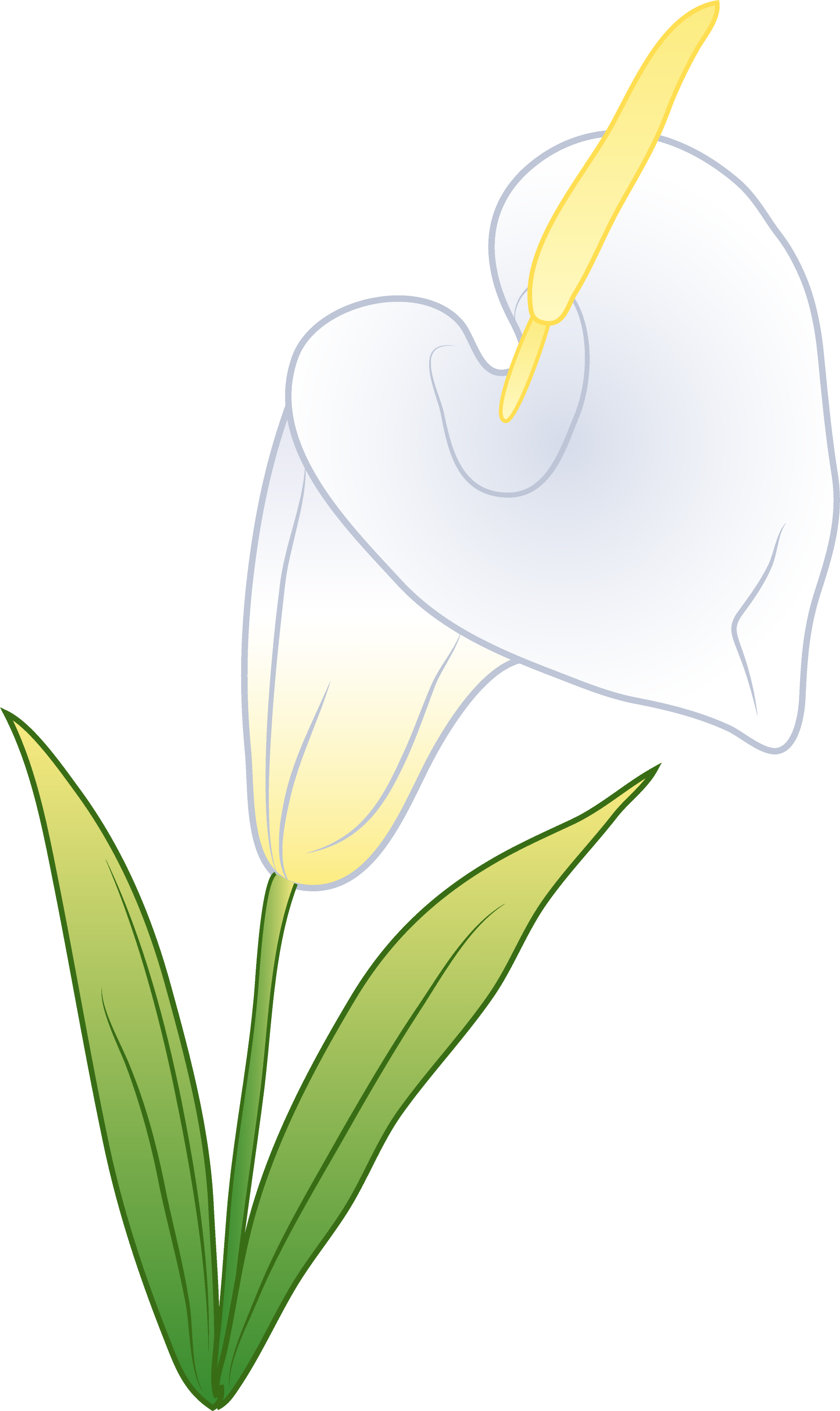 free clip art calla lily flower - photo #7
