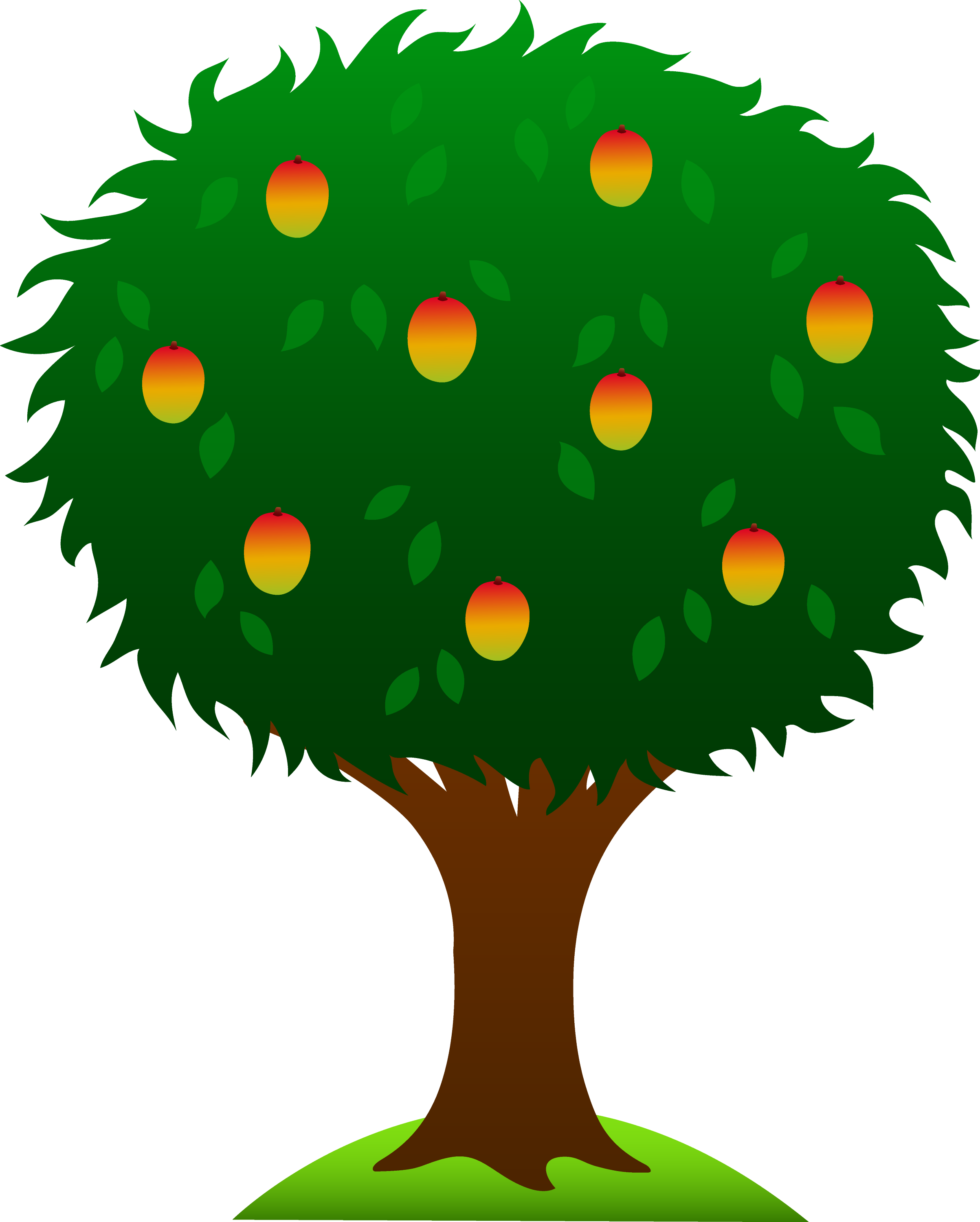 Mango Tree With Ripe Fruits - Free Clip Art