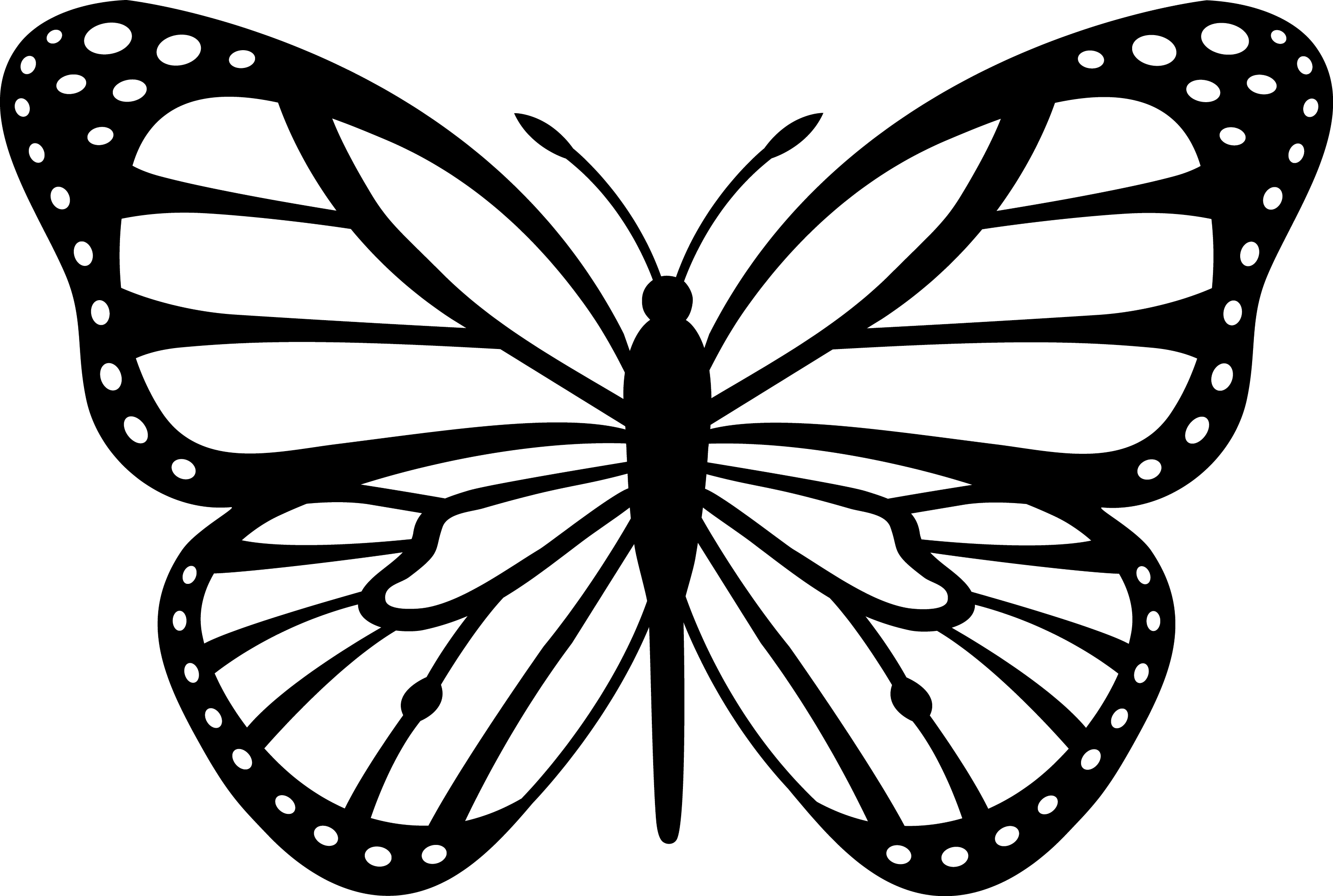 Black and White Monarch Butterfly - Free Clip Art