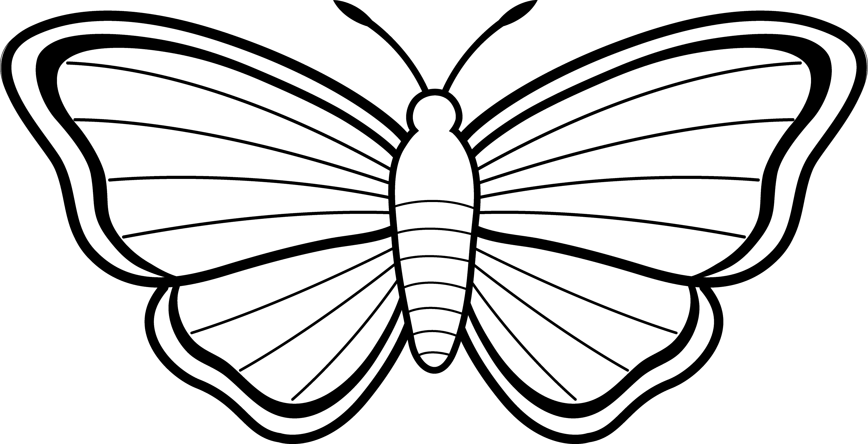 free black and white clipart of butterflies - photo #40