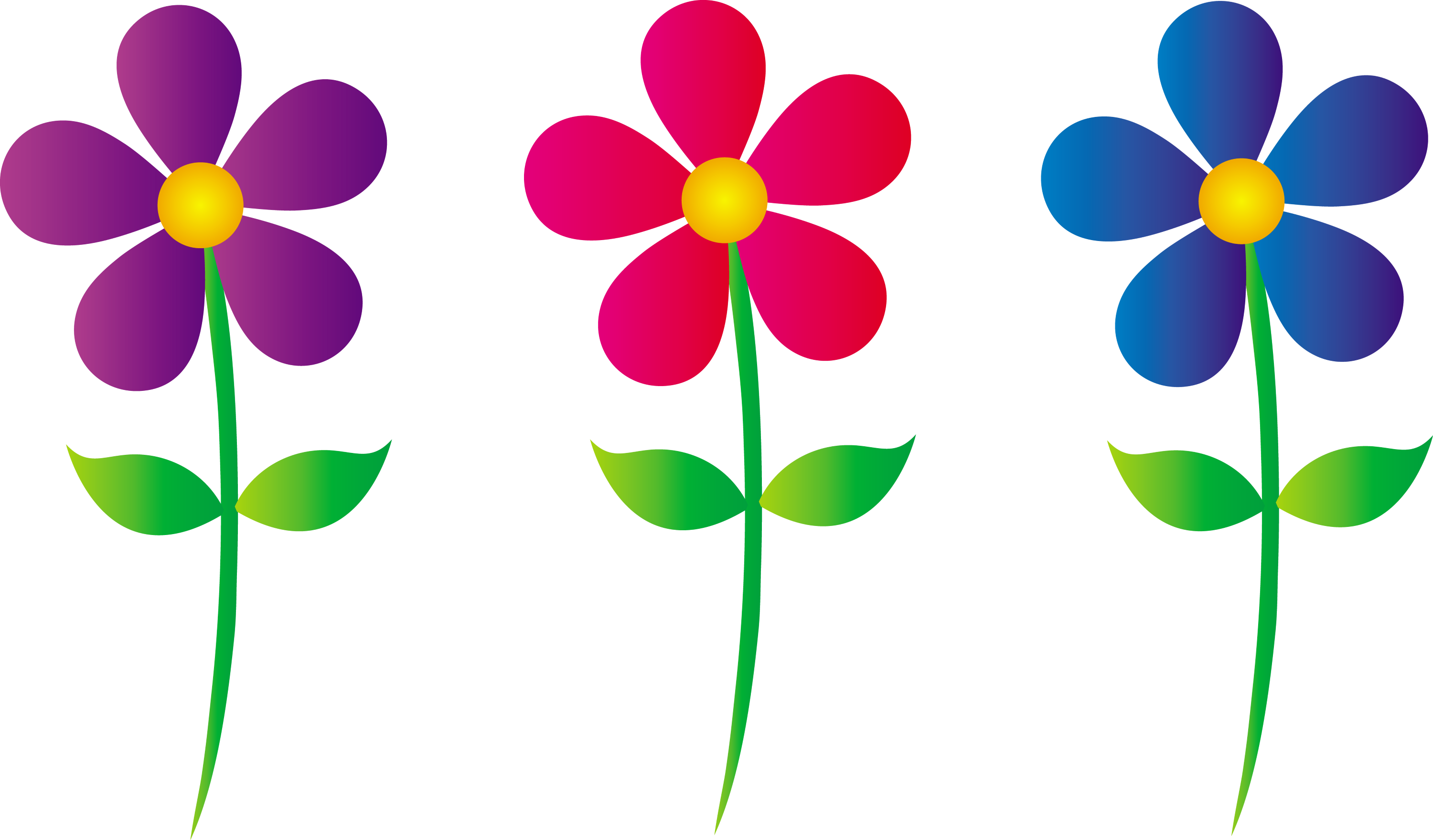 Three Colorful Daisies - Free Clip Art