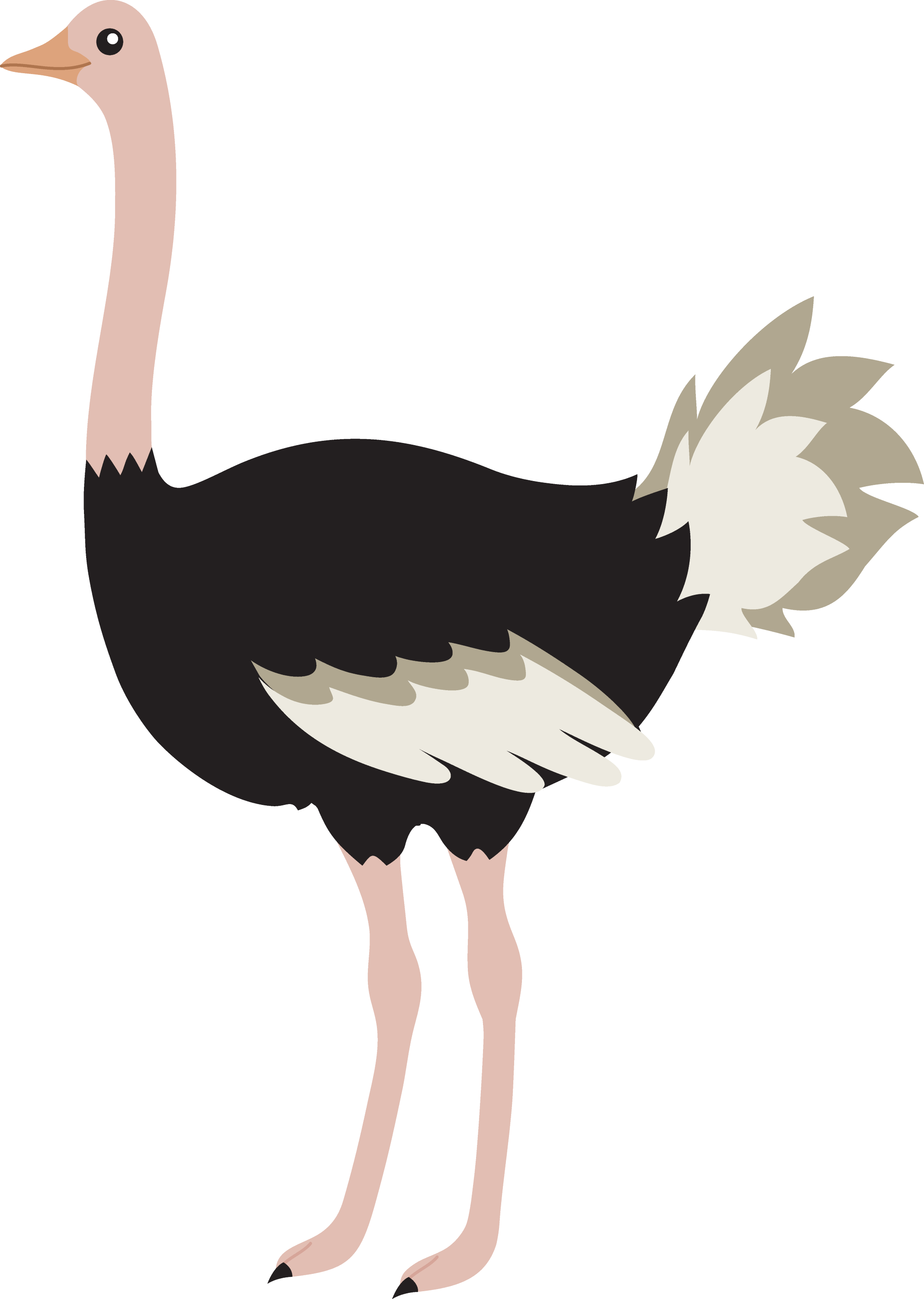 Cute Ostrich Bird Free Clip Art