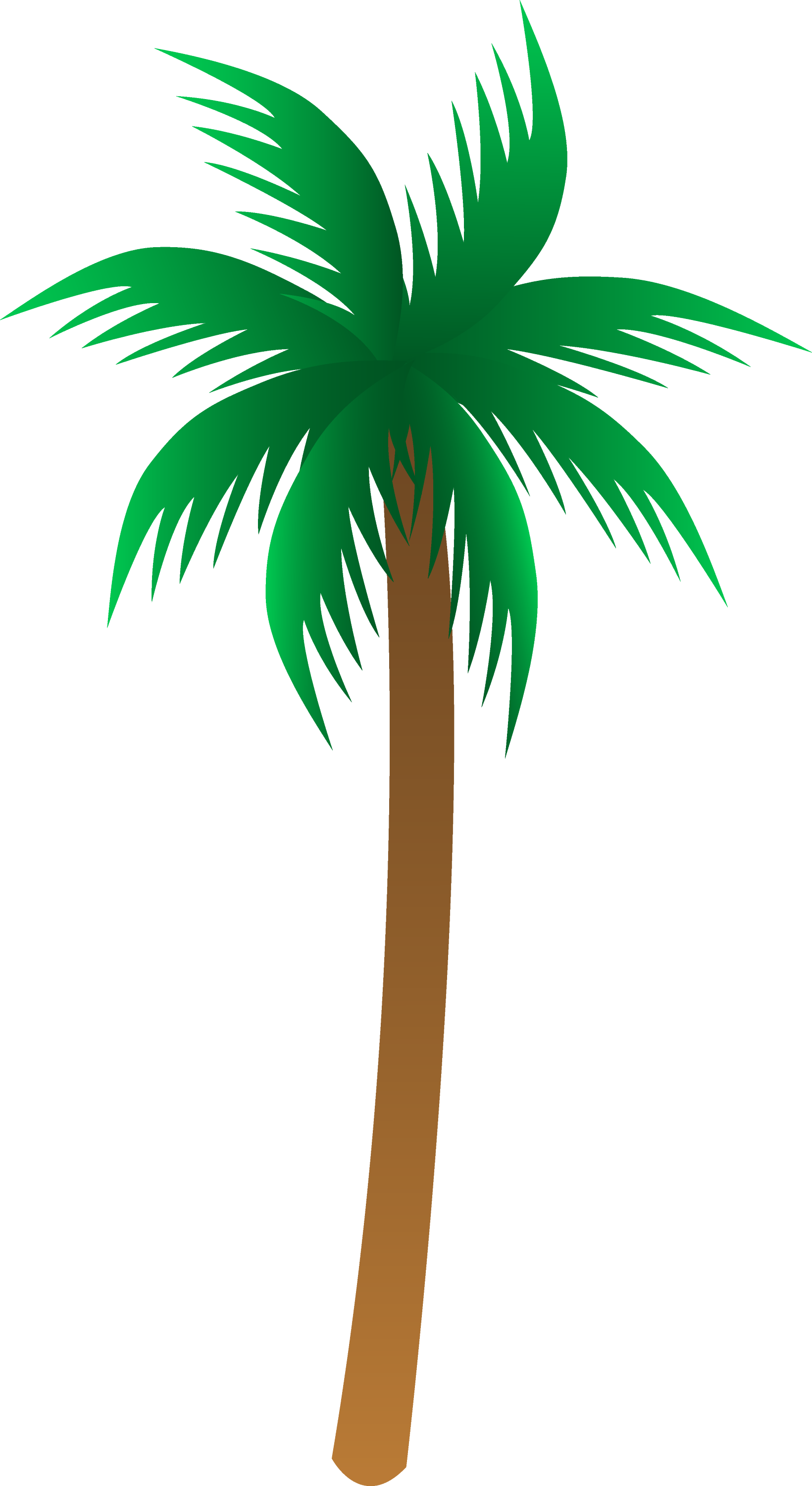 palm tree clip art - photo #20