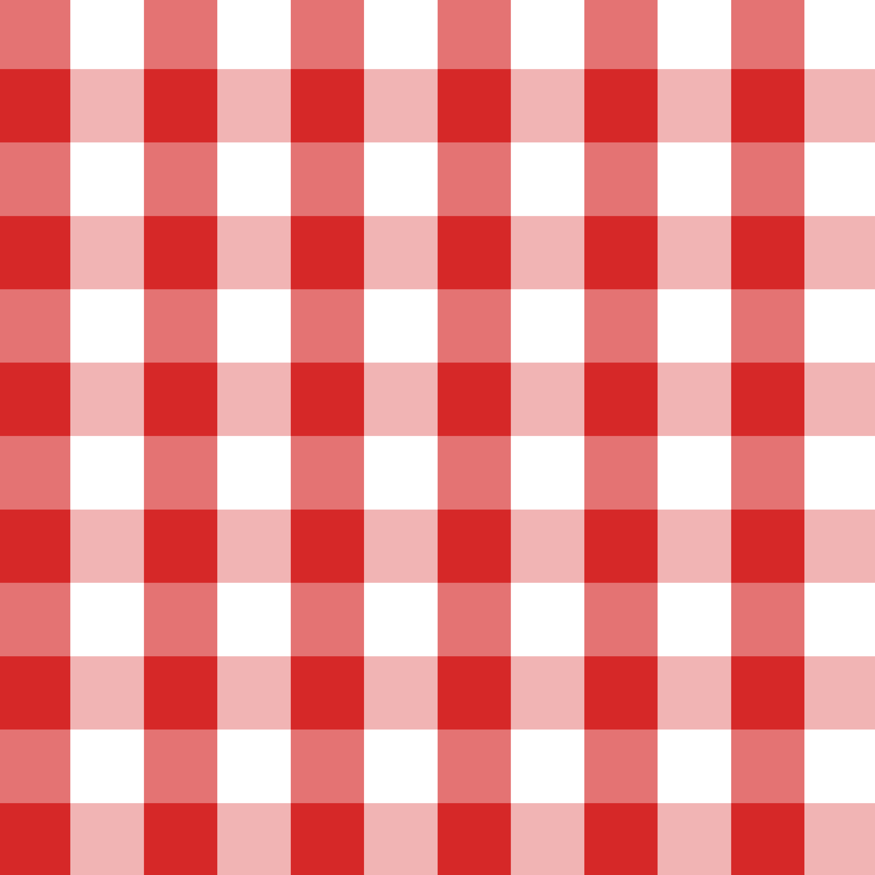 red and white picnic cloth