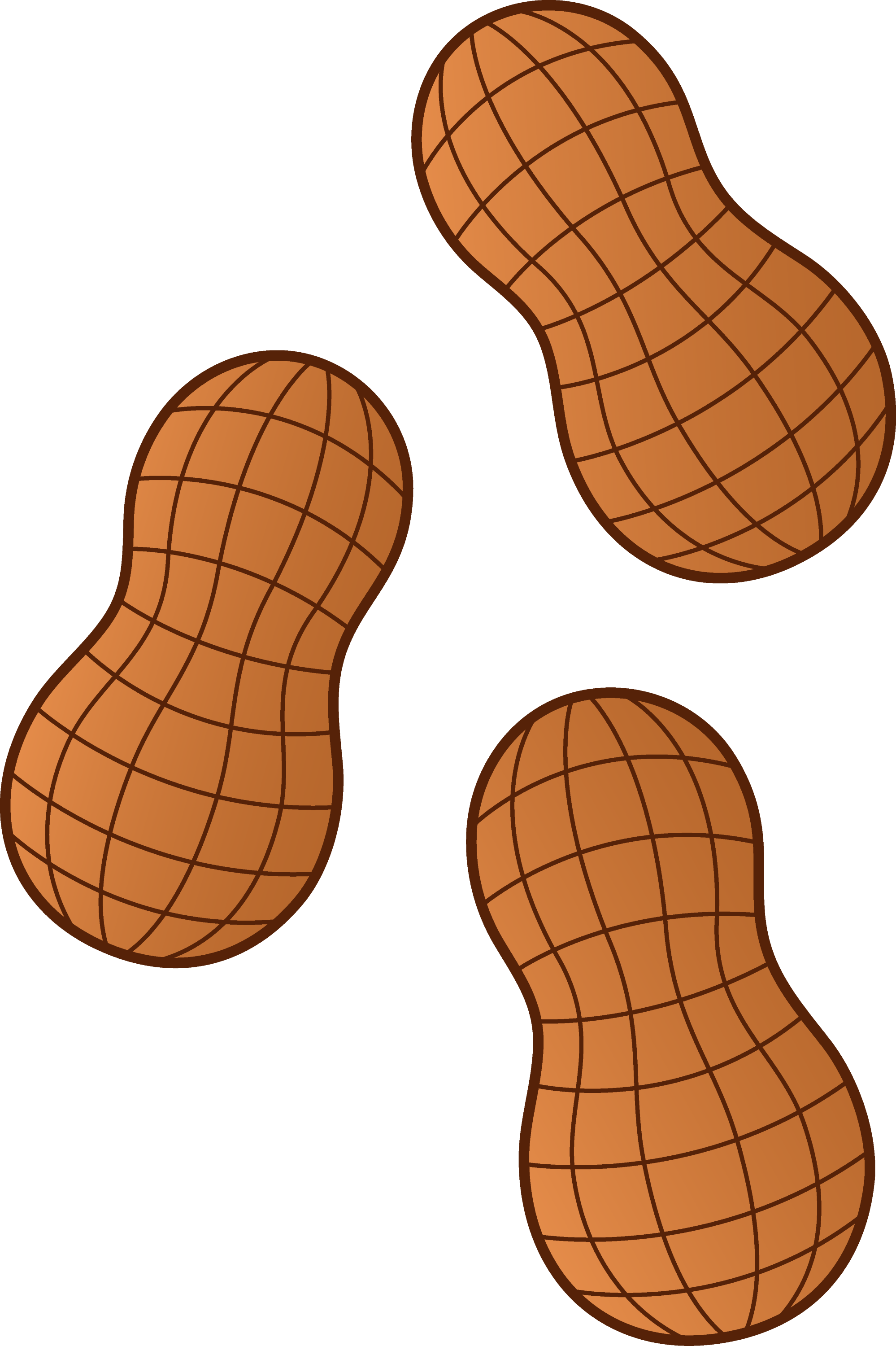 clipart pictures of nuts - photo #23
