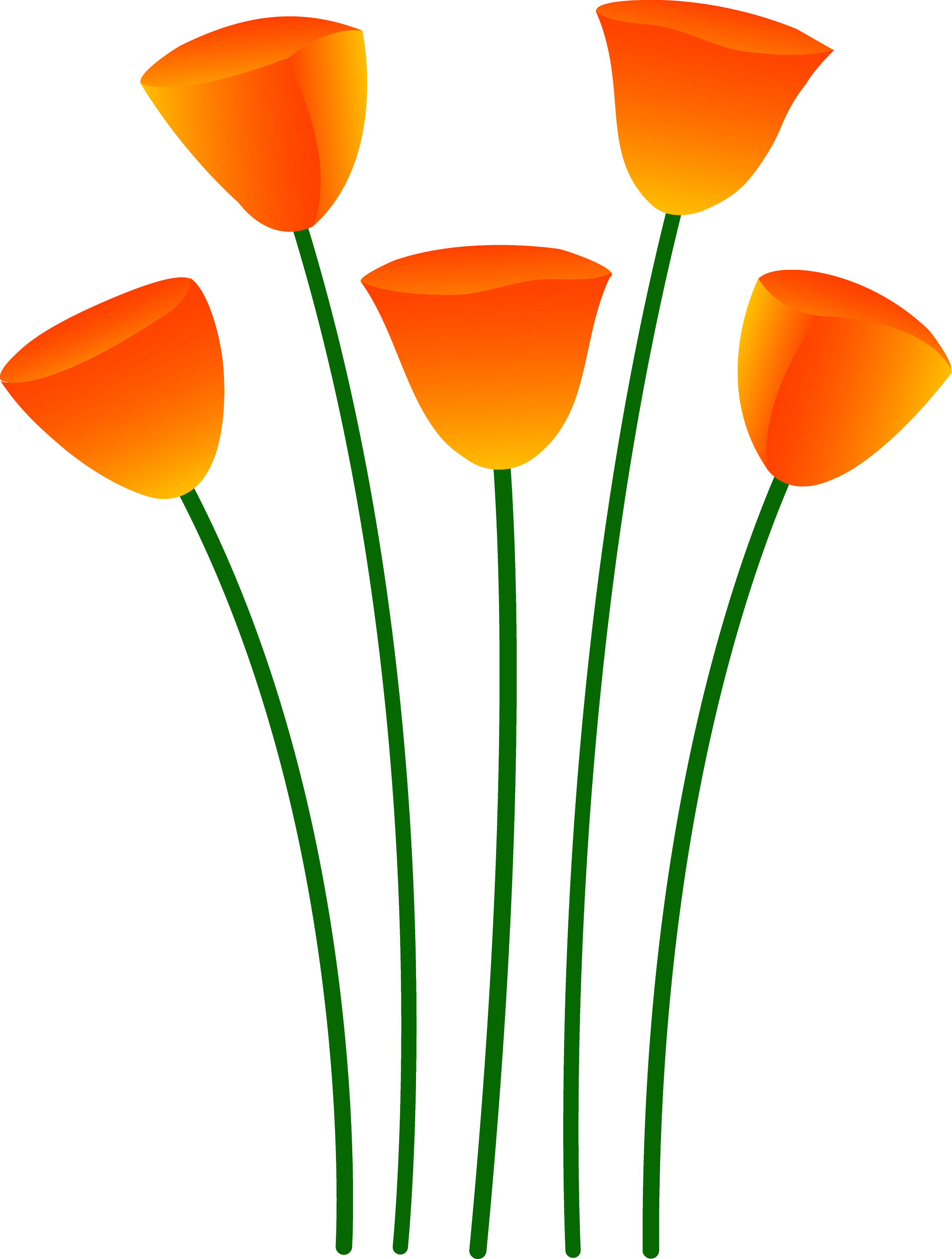 clip art poppy flower - photo #4