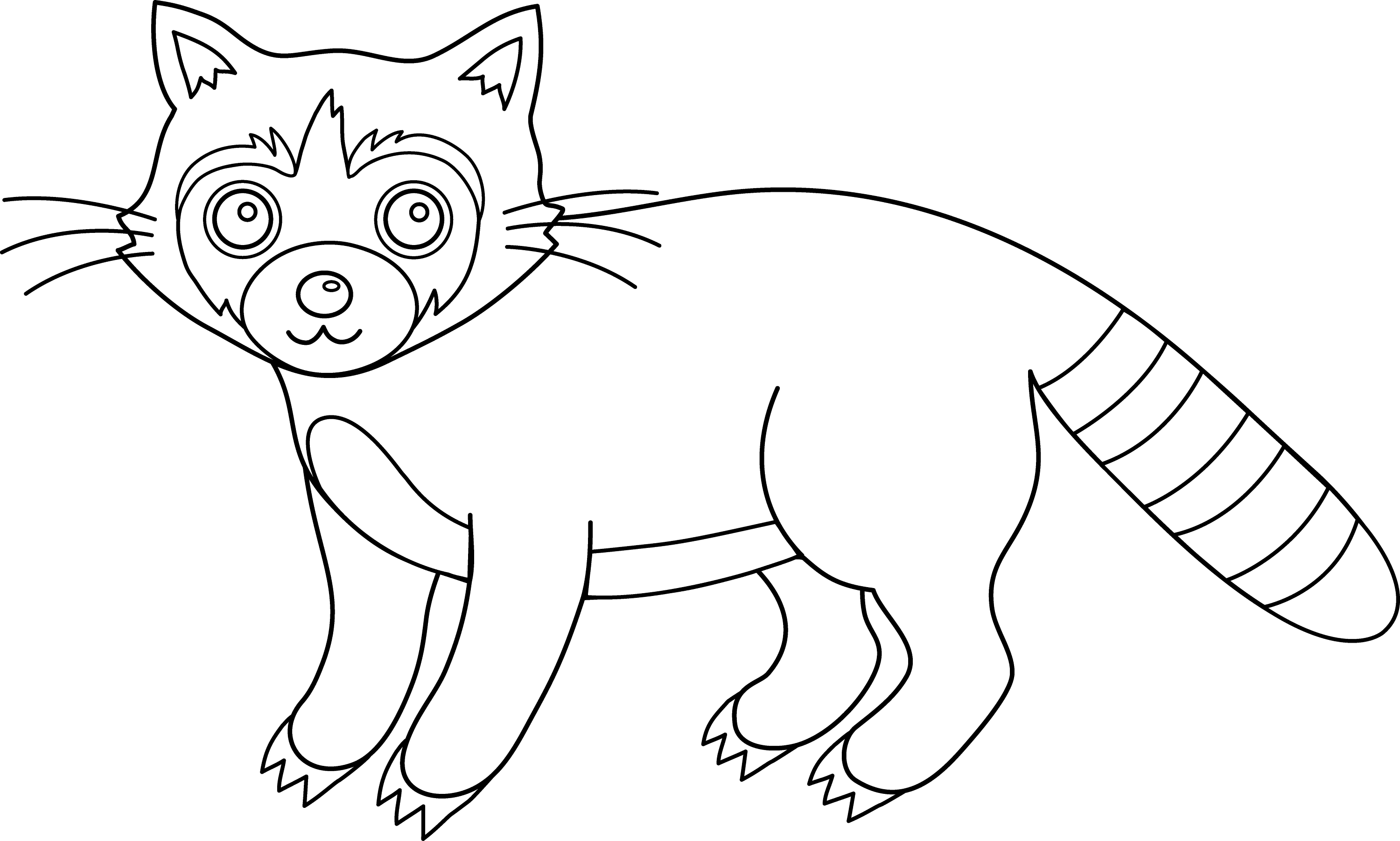 raccoon coloring pages - photo #37