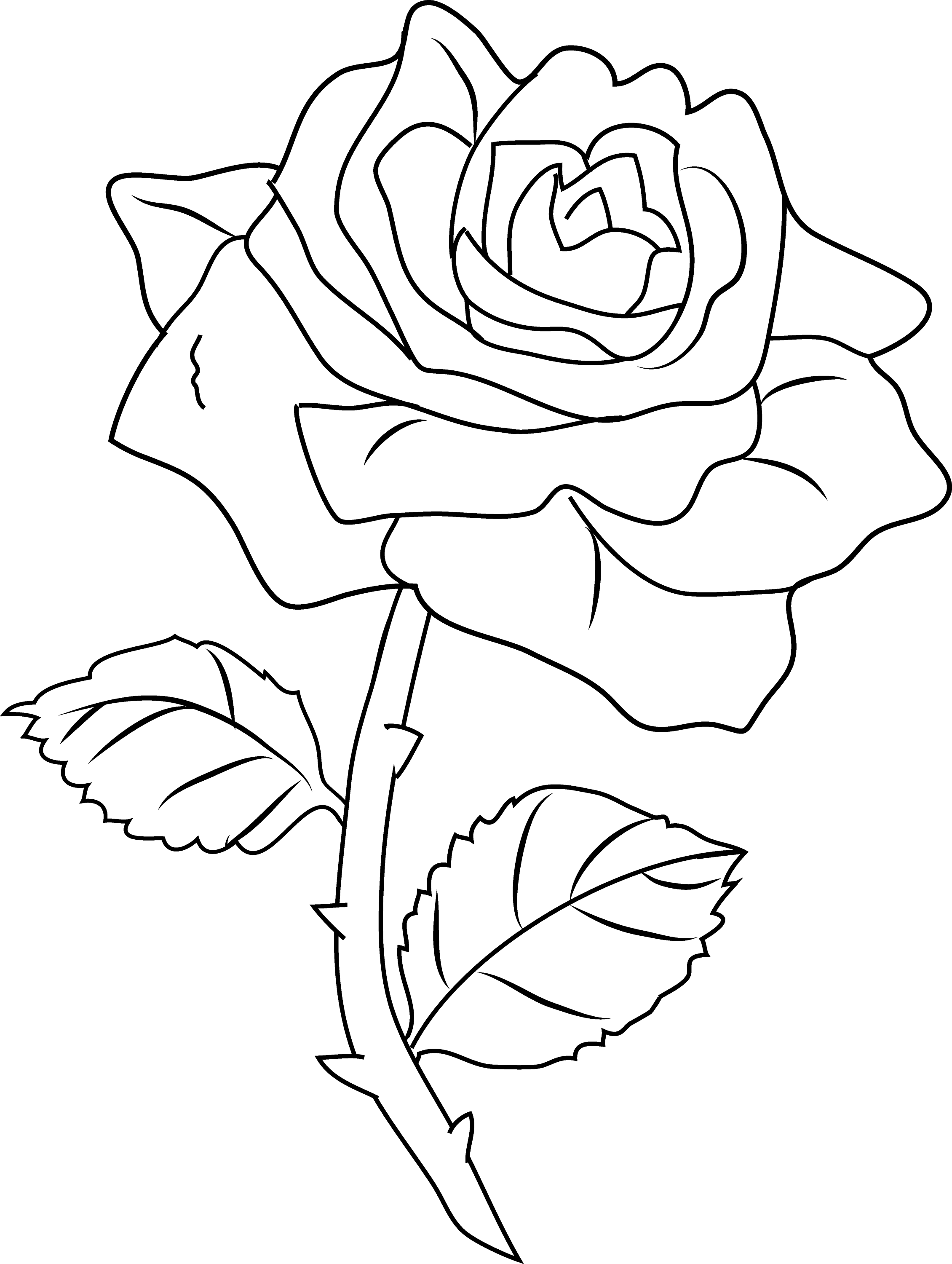 Art Rose Colored Coloring Pages