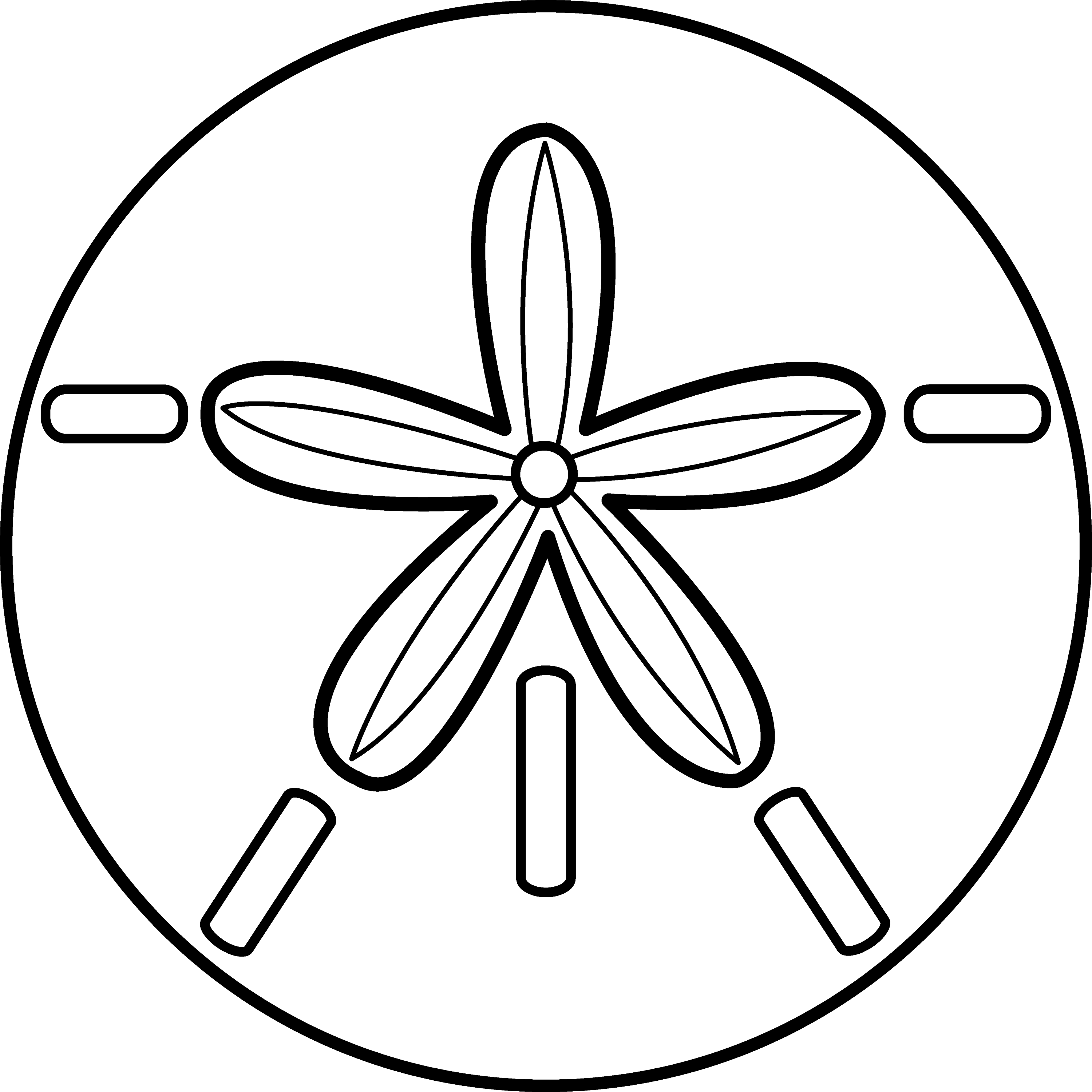 Sand Dollar Coloring Pages