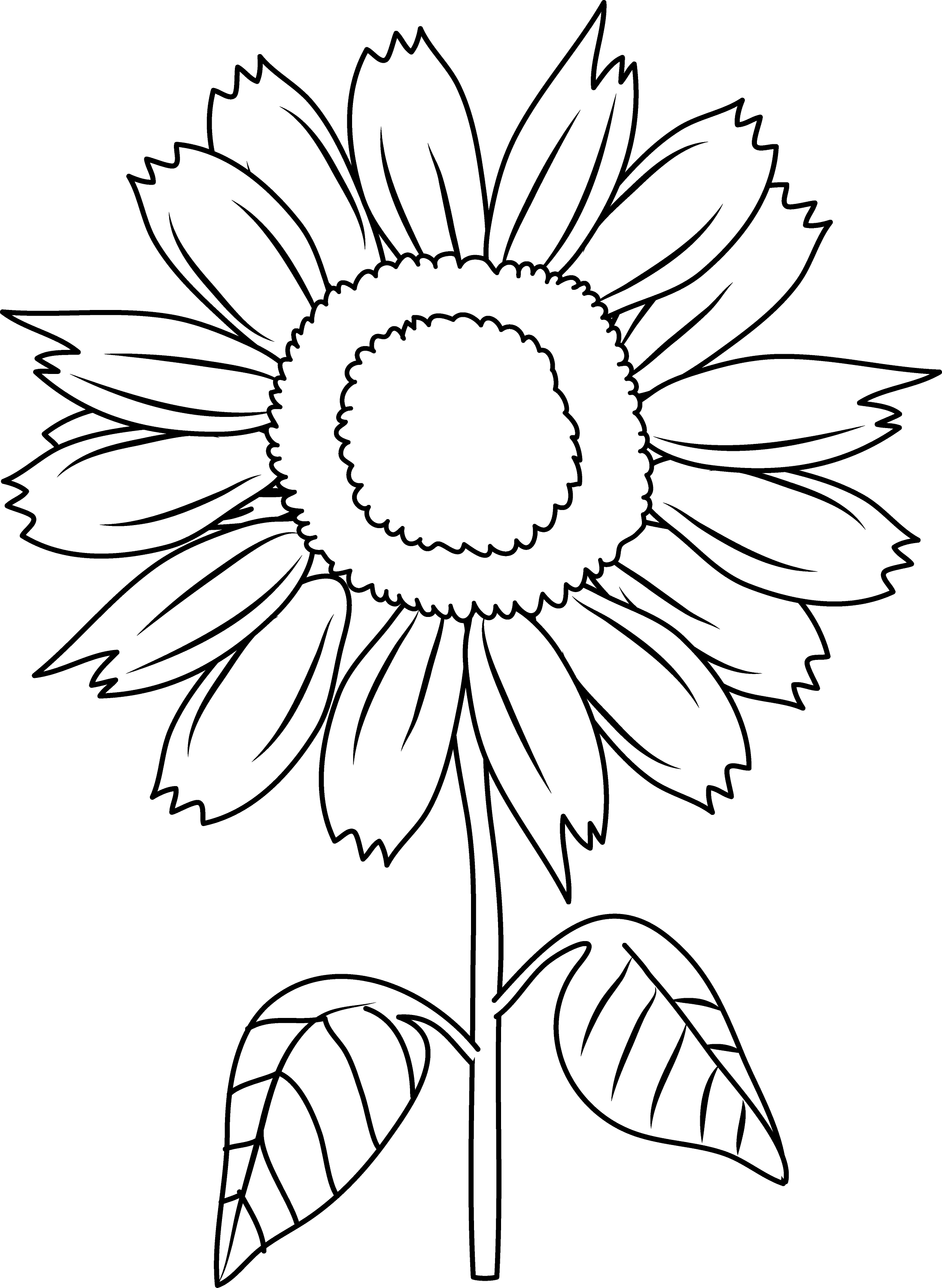 Pretty Sunflower Coloring Page Free Clip Art