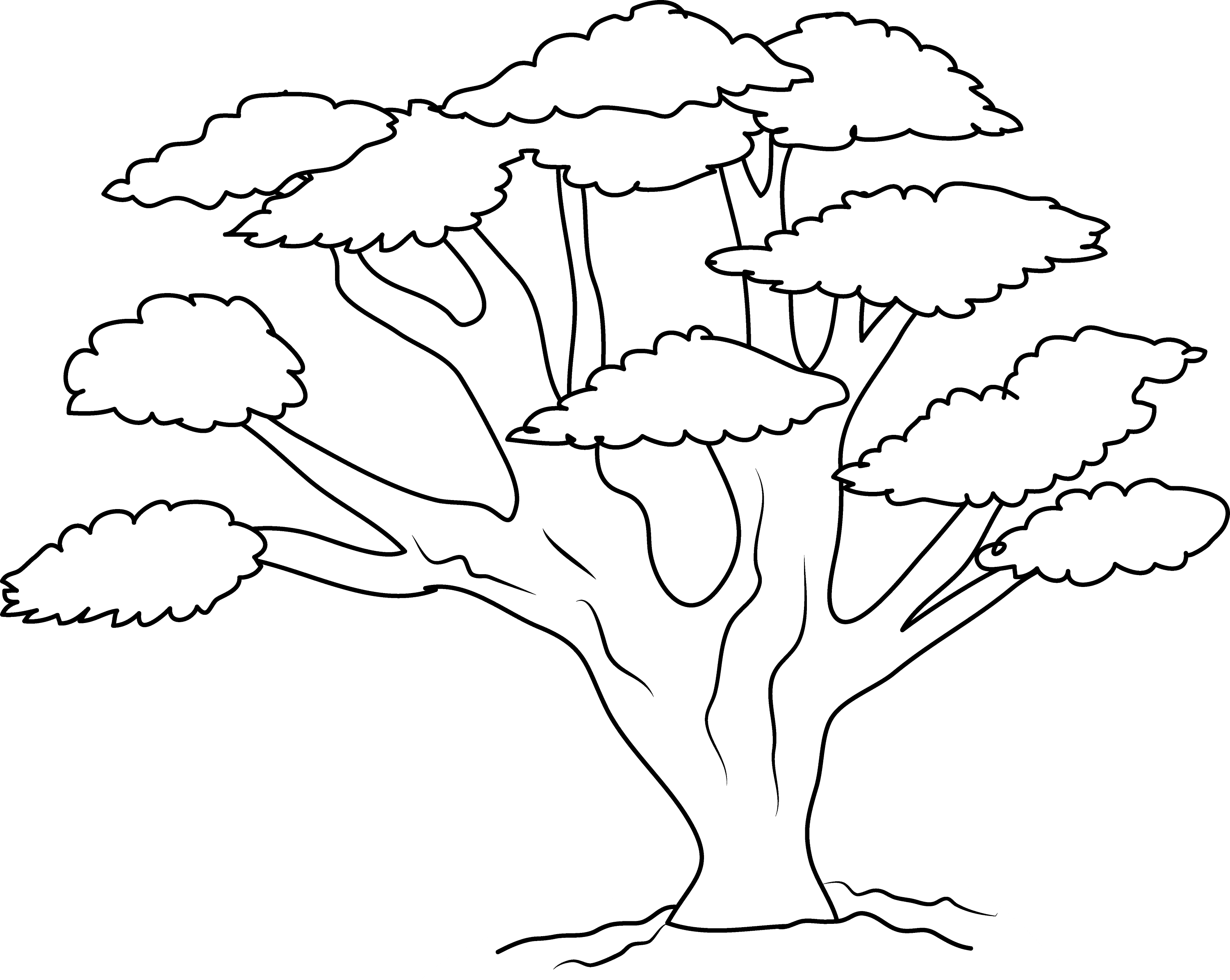 free black and white clipart of trees - photo #38