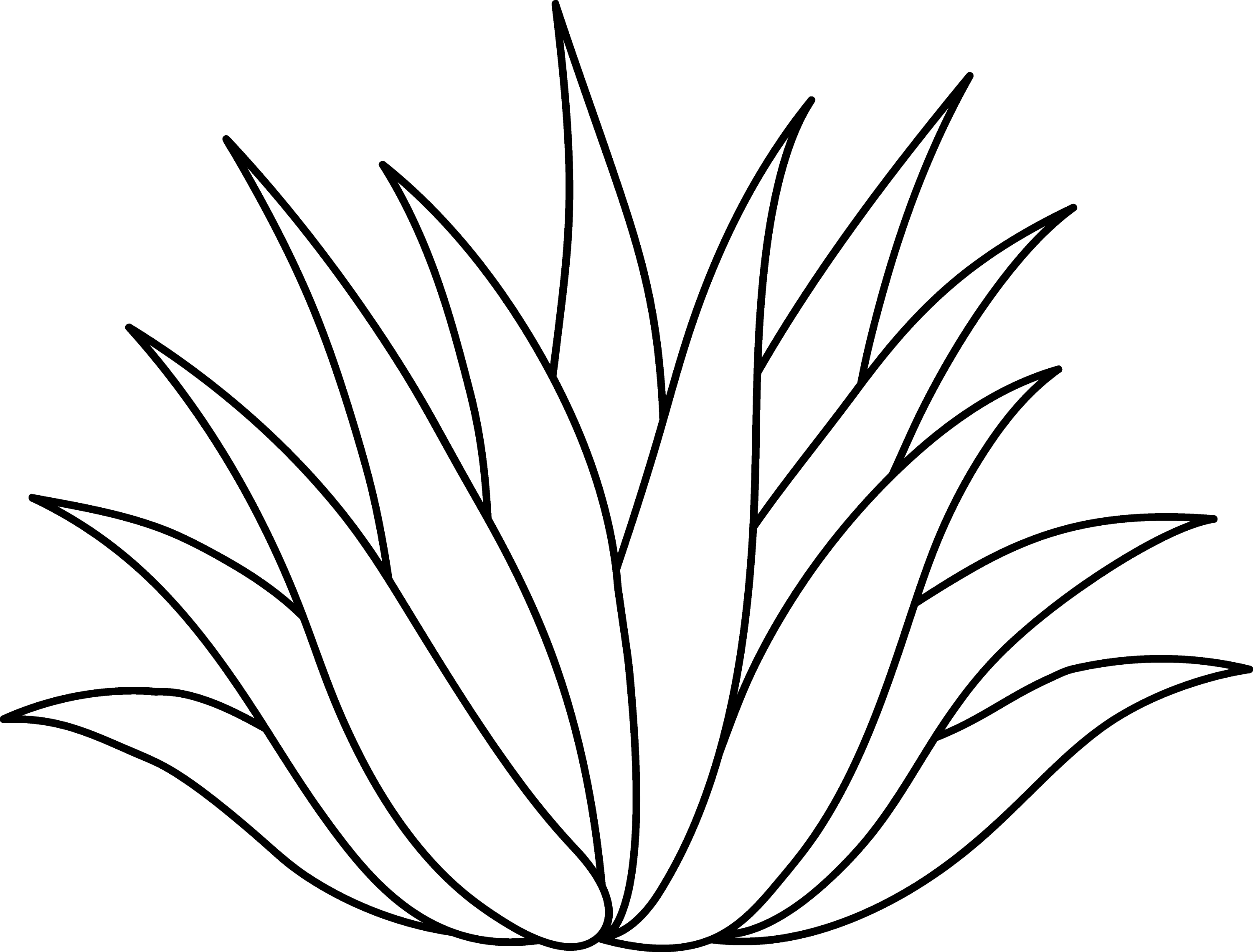 Agave or Aloe Plant Line Art - Free Clip Art