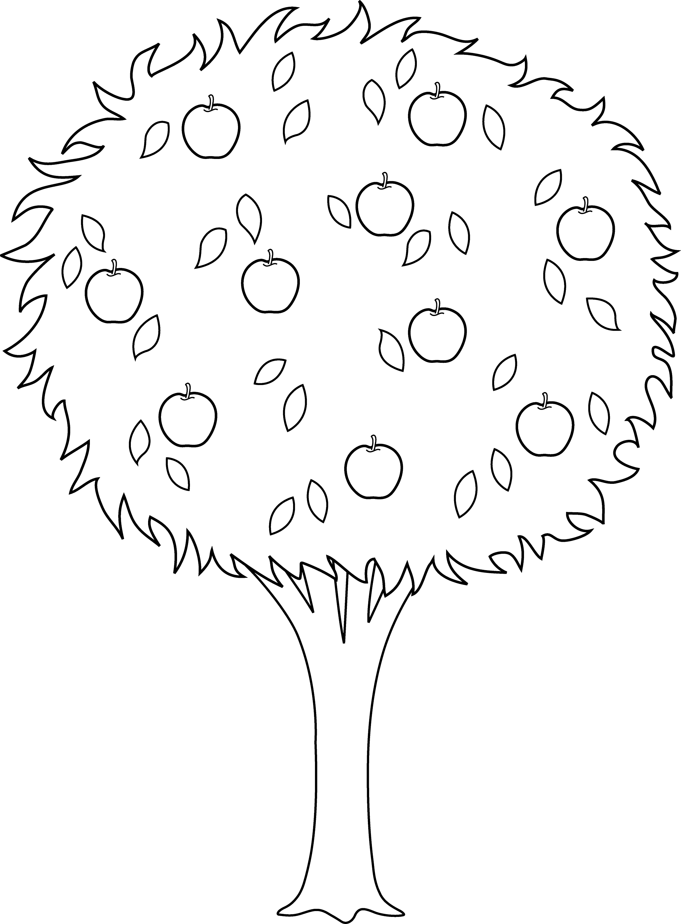 Big Apple Tree Coloring Page Sketch Coloring Page